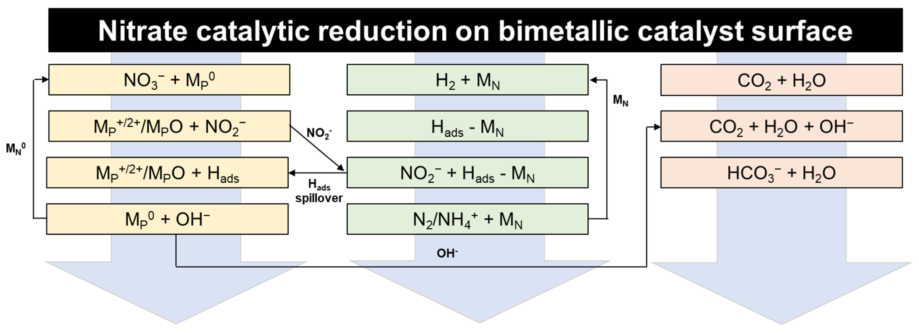Catalysts 14 00947 g003