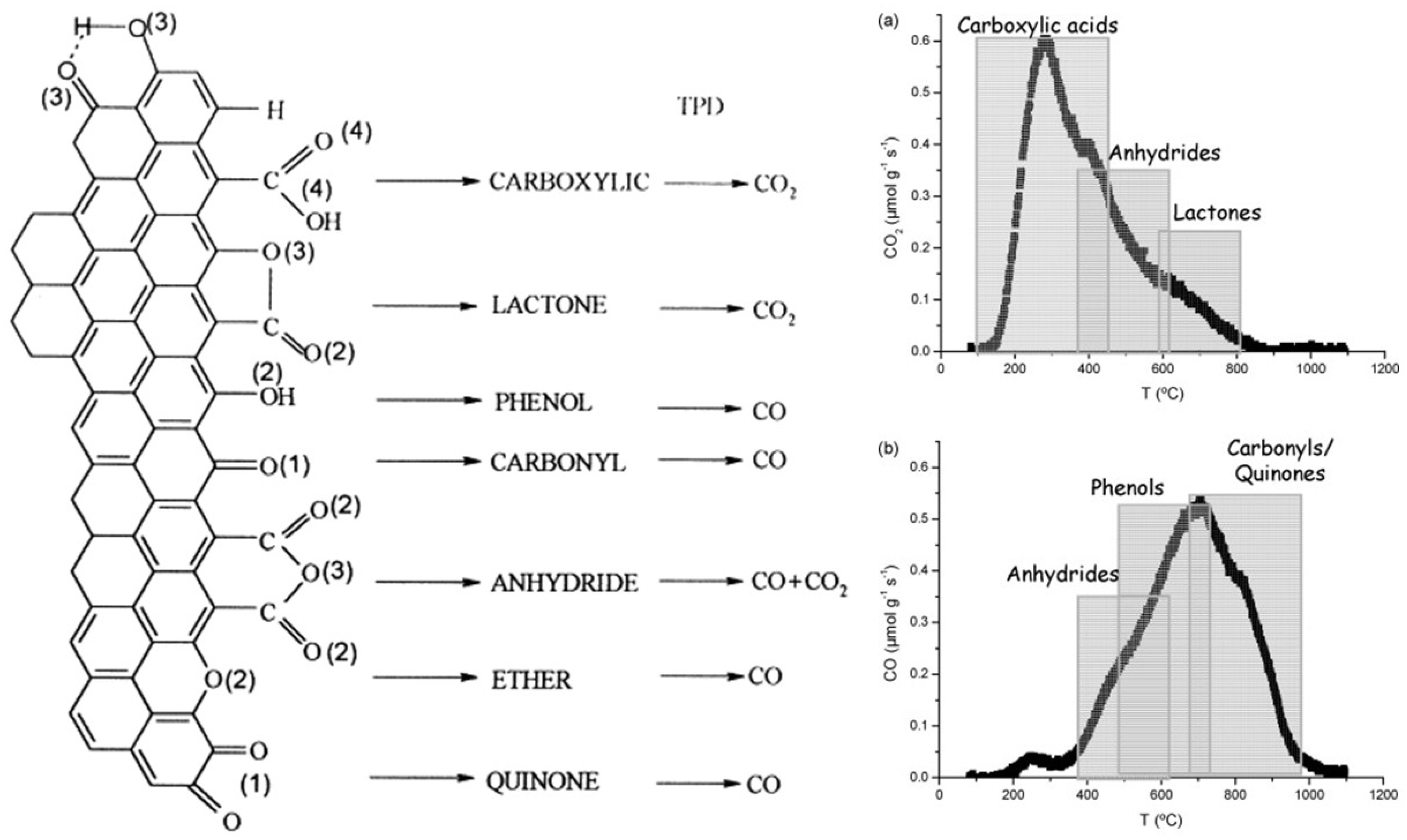 Catalysts 14 00947 g006