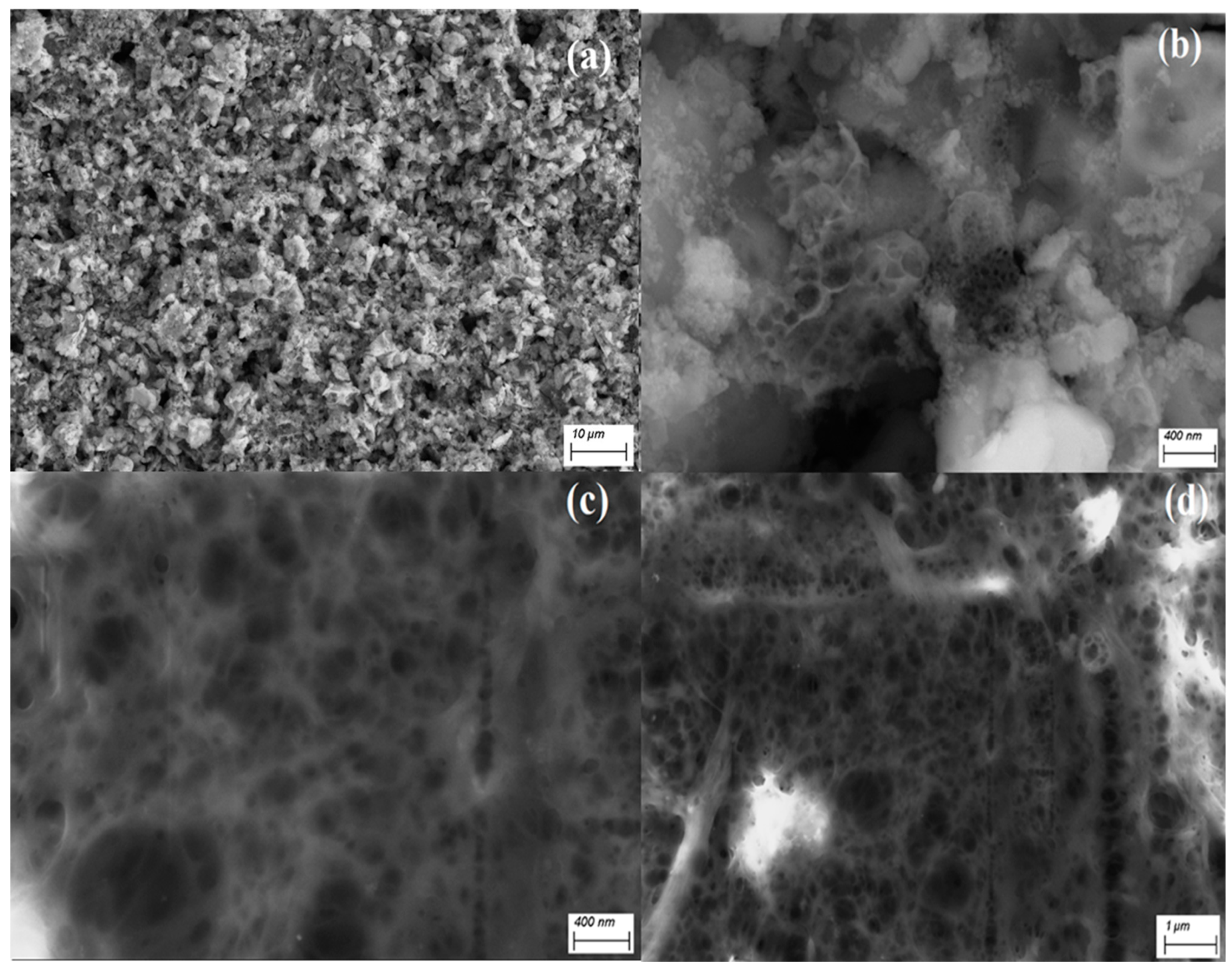 Catalysts 14 00948 g002
