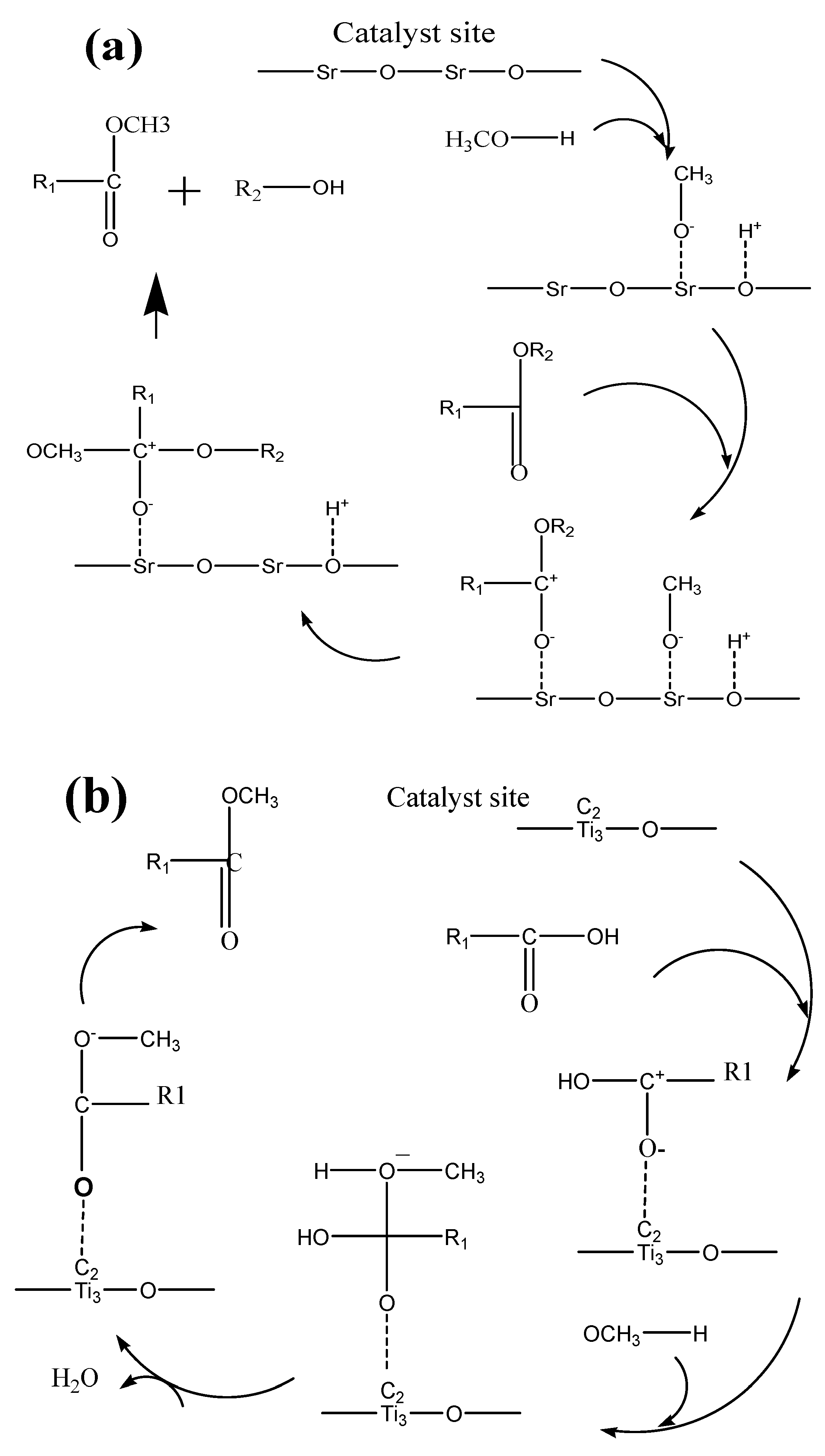 Catalysts 14 00948 g010