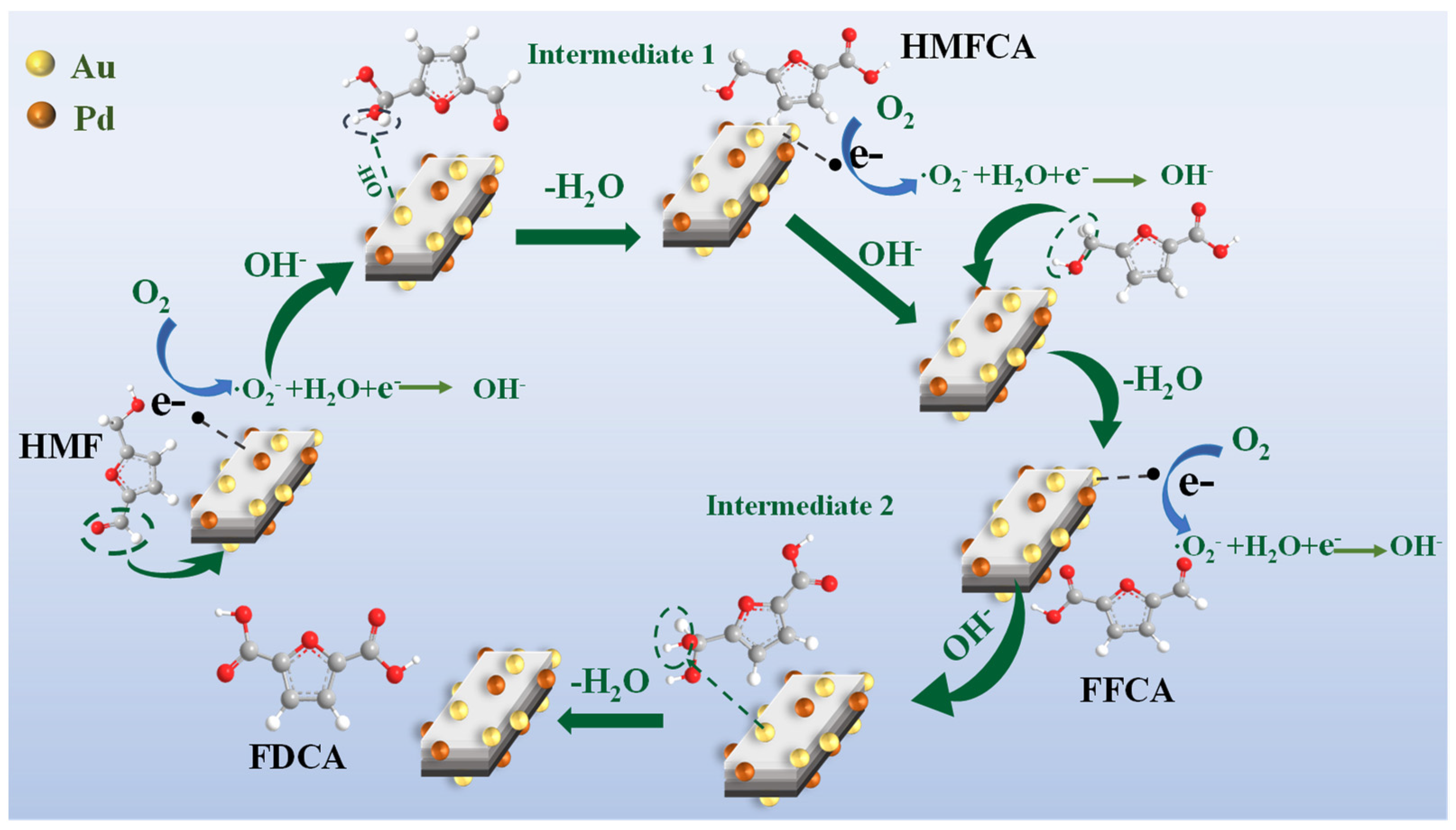 Catalysts 14 00949 sch001