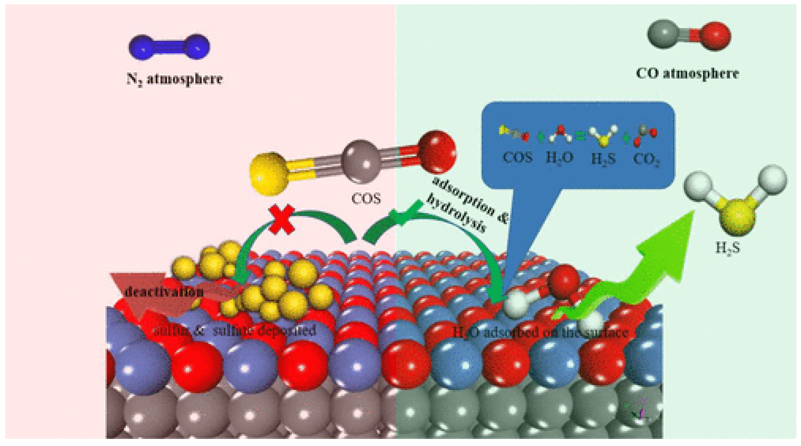 Catalysts 14 00952 g001