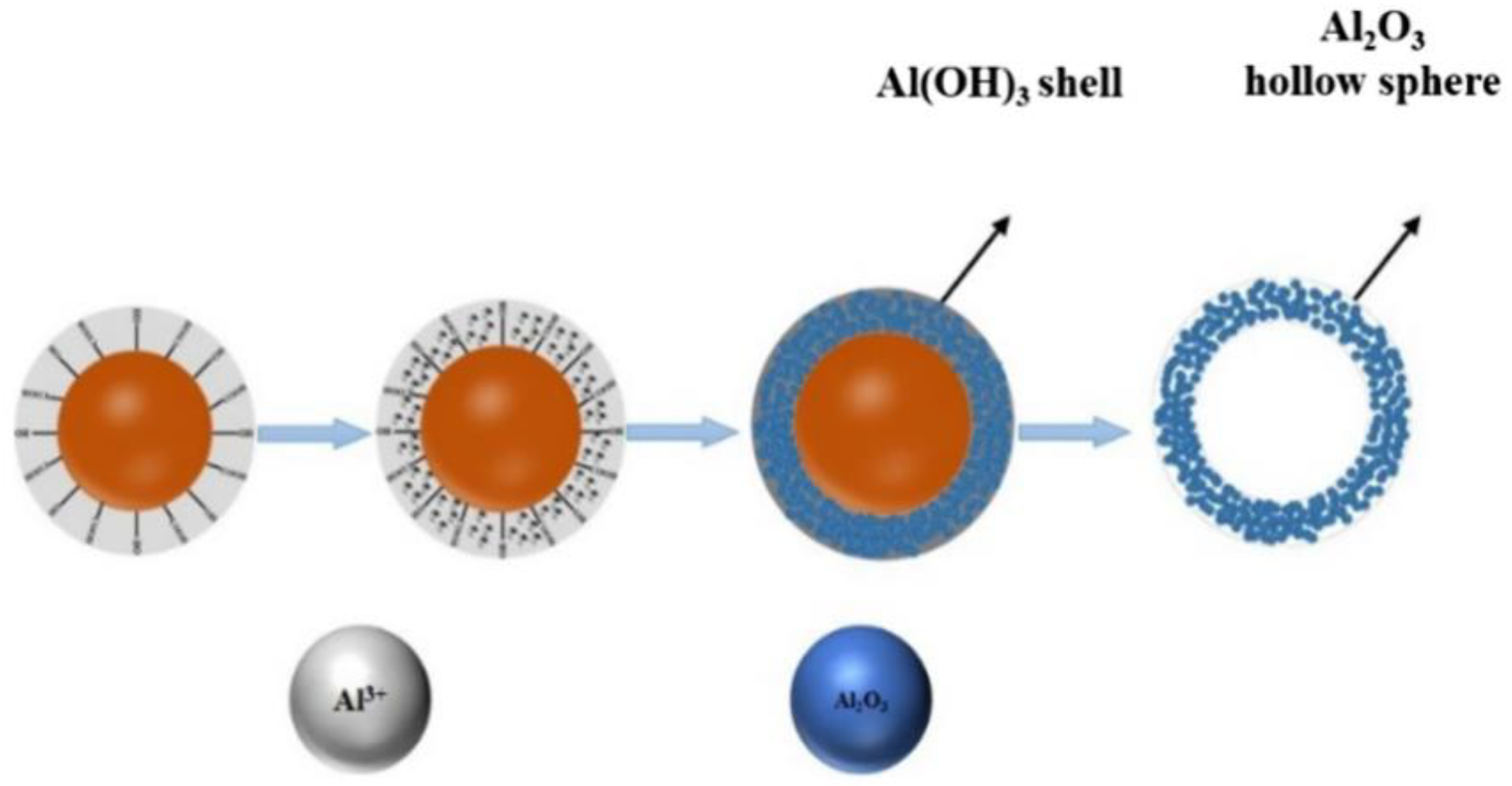 Catalysts 14 00952 g003