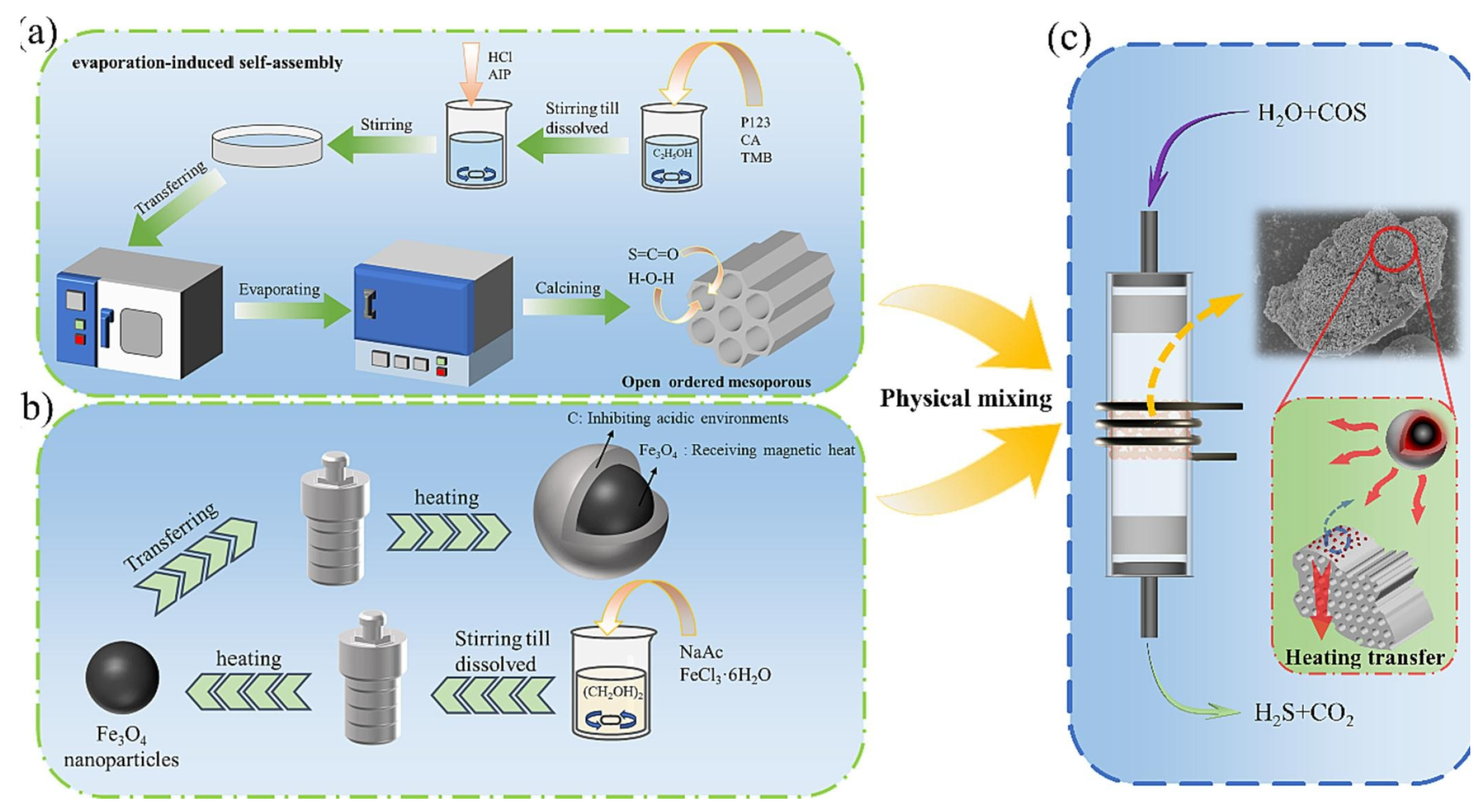 Catalysts 14 00952 g006