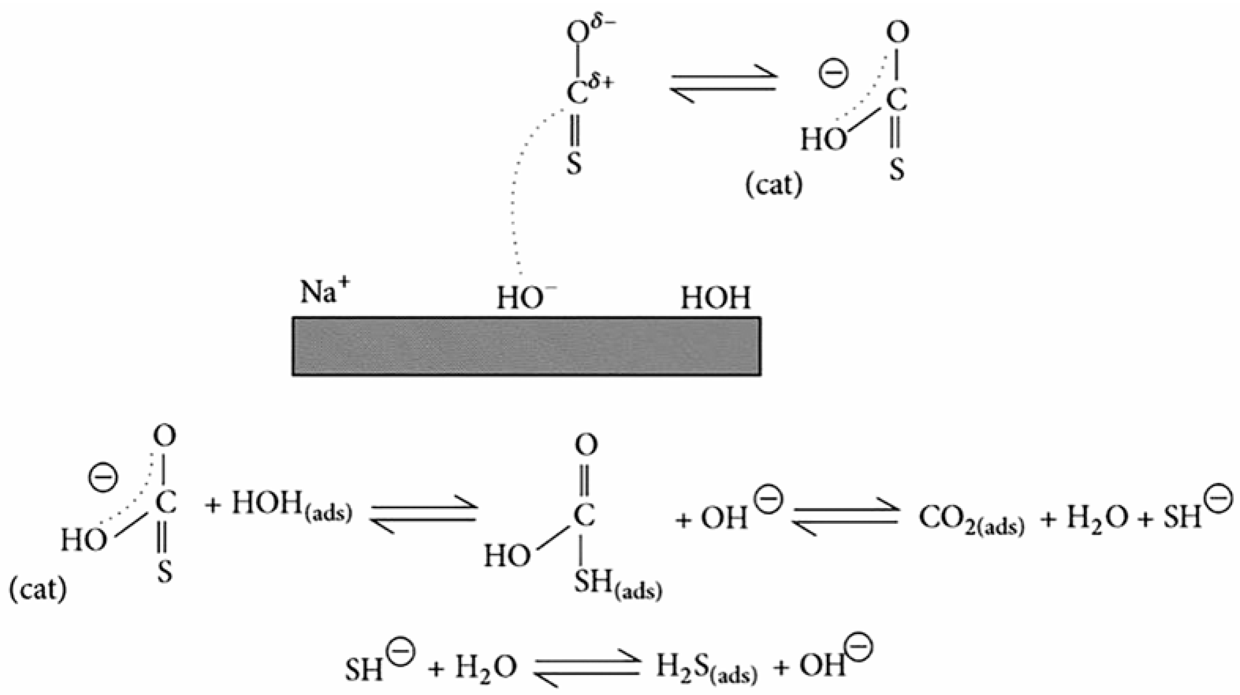 Catalysts 14 00952 g007