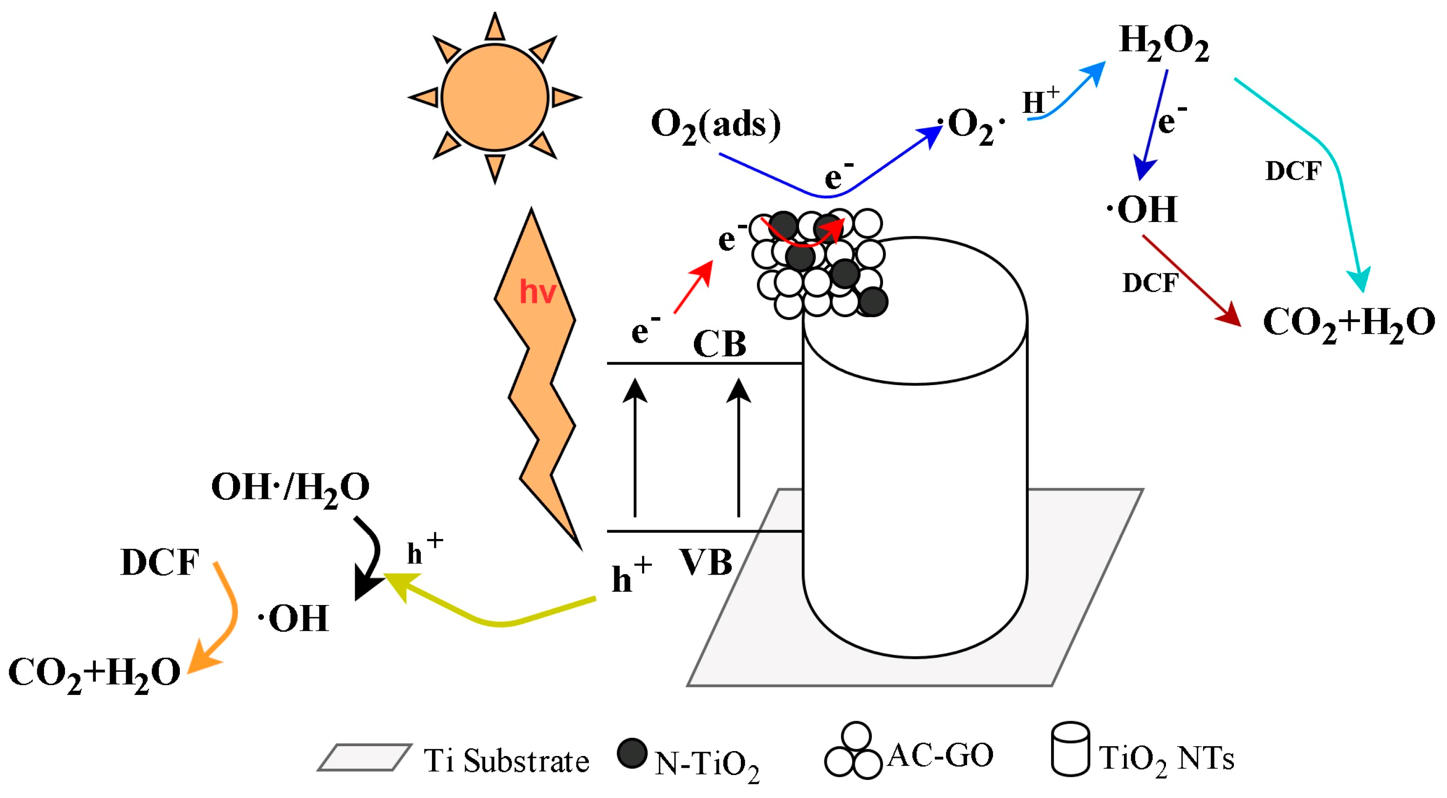 Catalysts 14 00954 g009