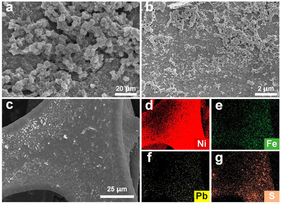 Modulation of the Coordination Environment of Graphene