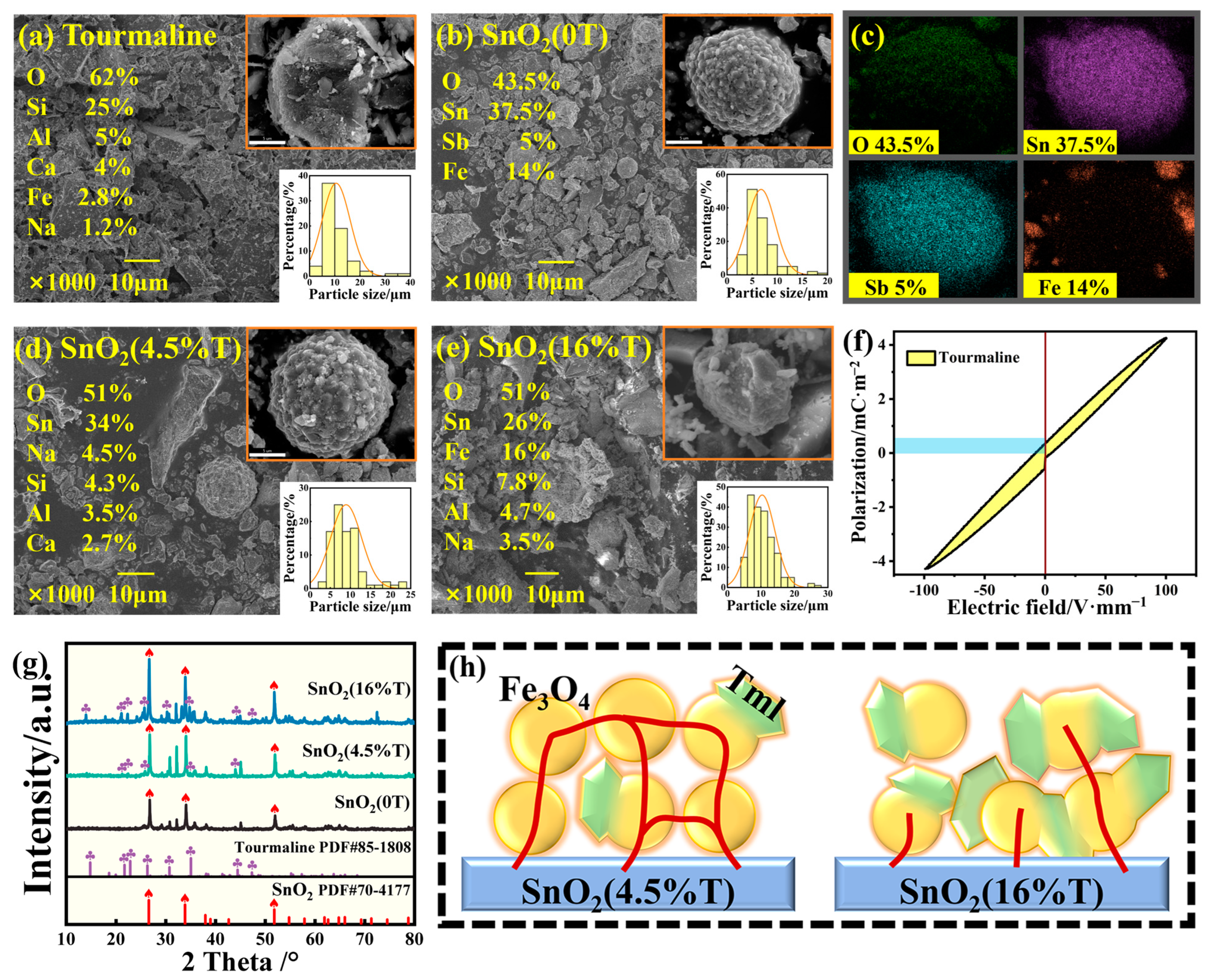 Catalysts 15 00002 g001
