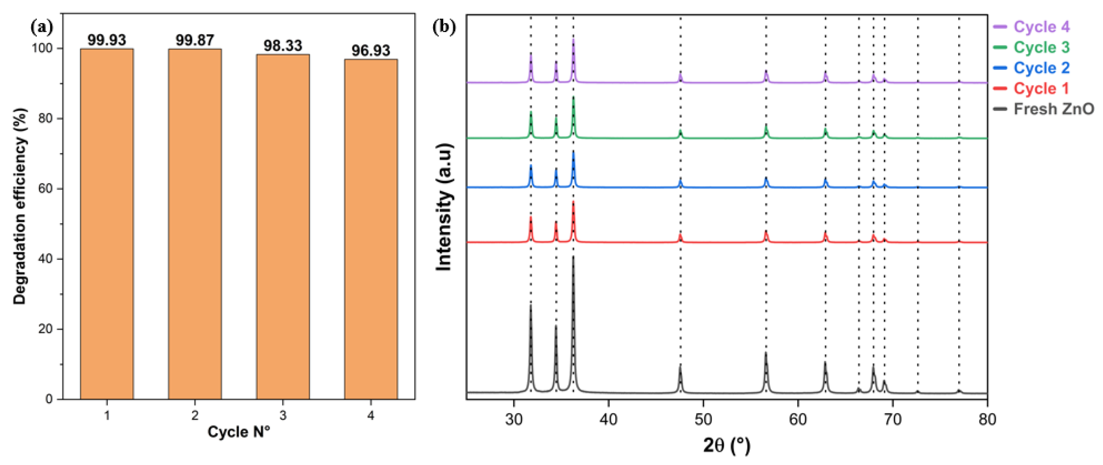 Catalysts 15 00004 g013