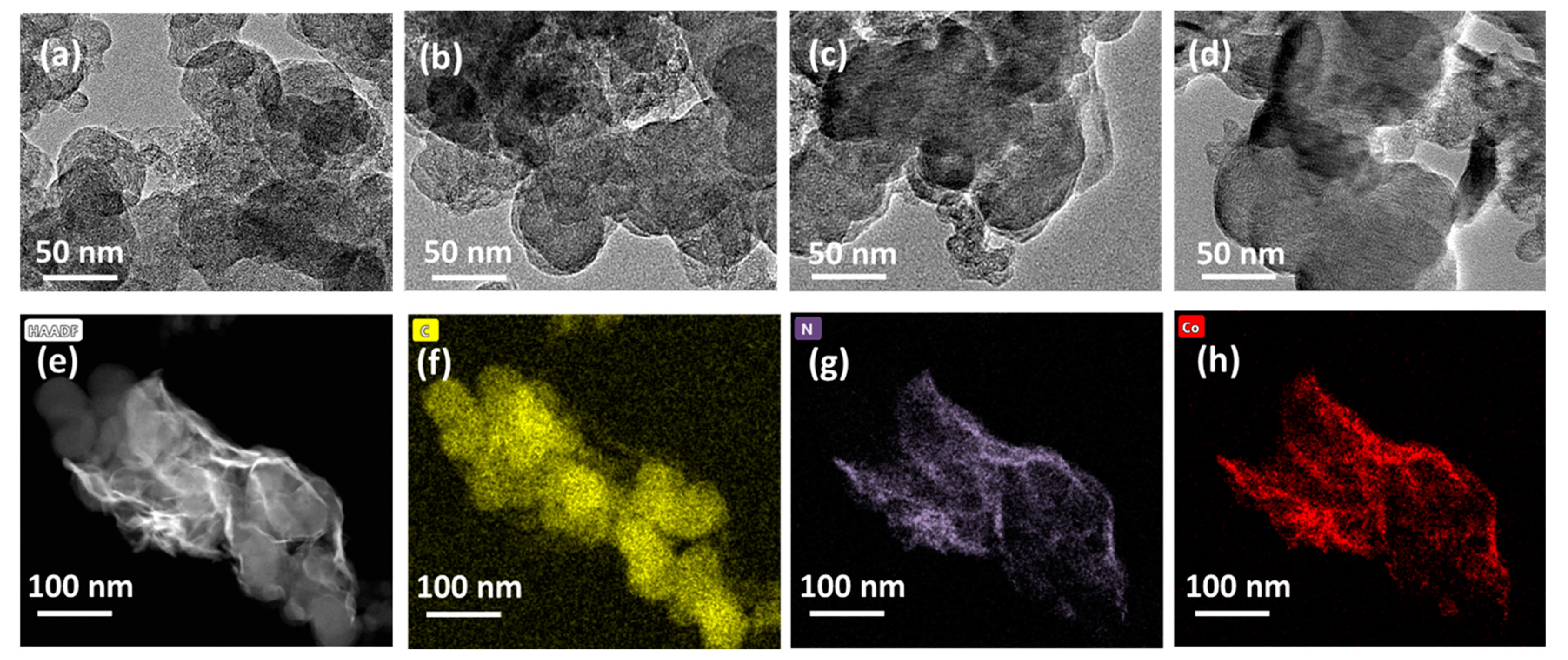 Catalysts 15 00005 g001