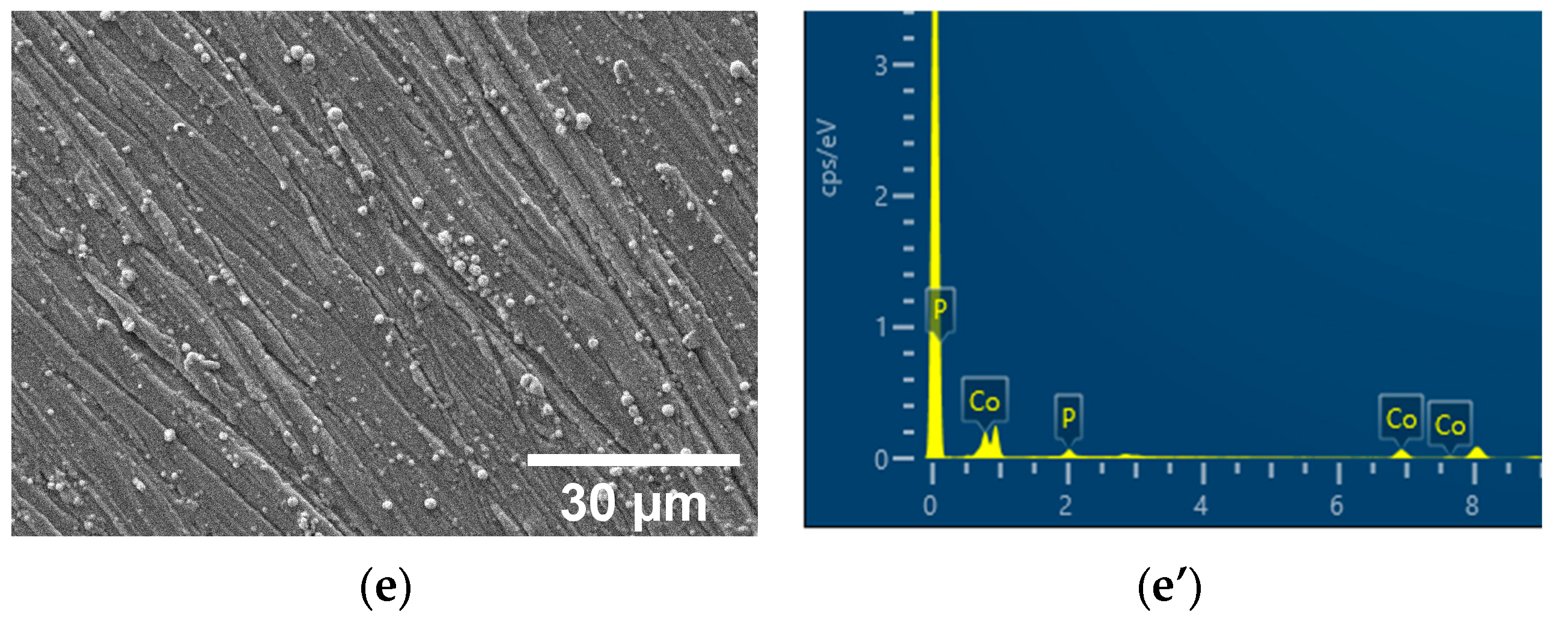 Catalysts 15 00008 g001b