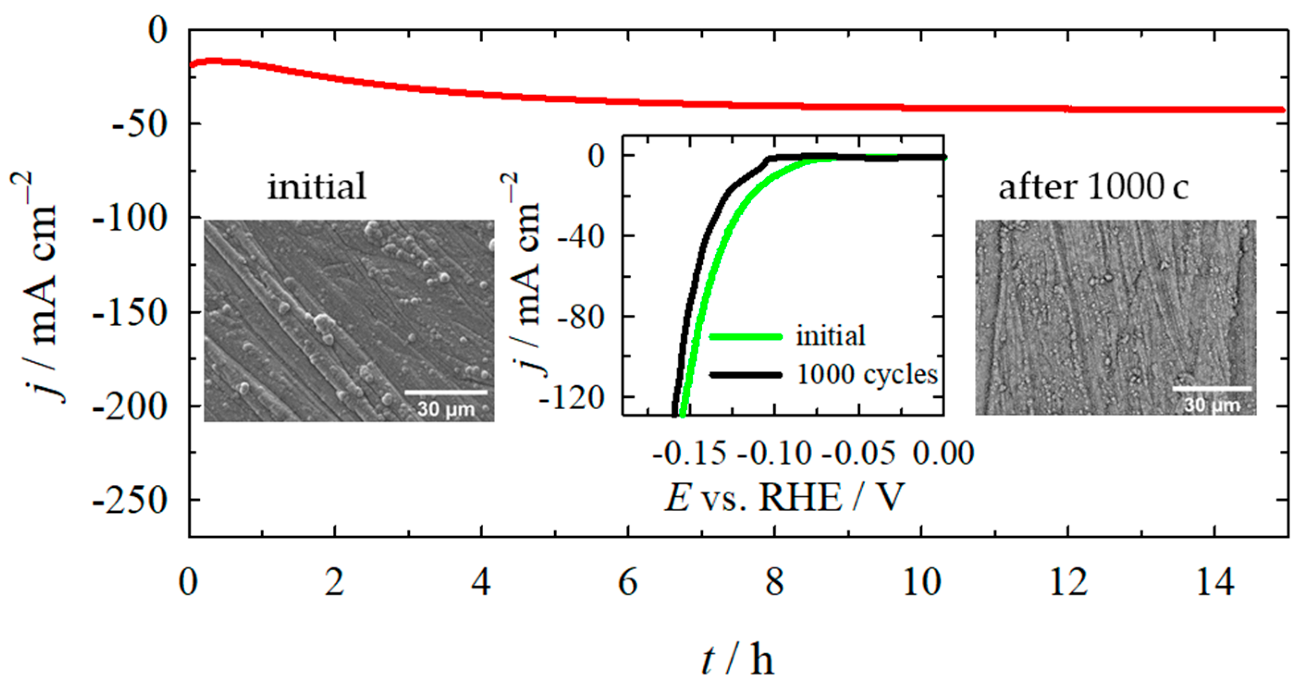 Catalysts 15 00008 g005
