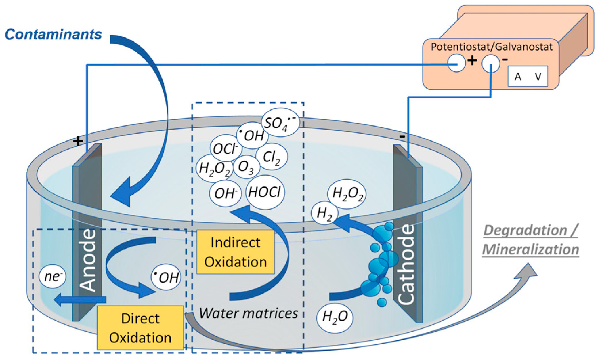 Catalysts 15 00014 g001