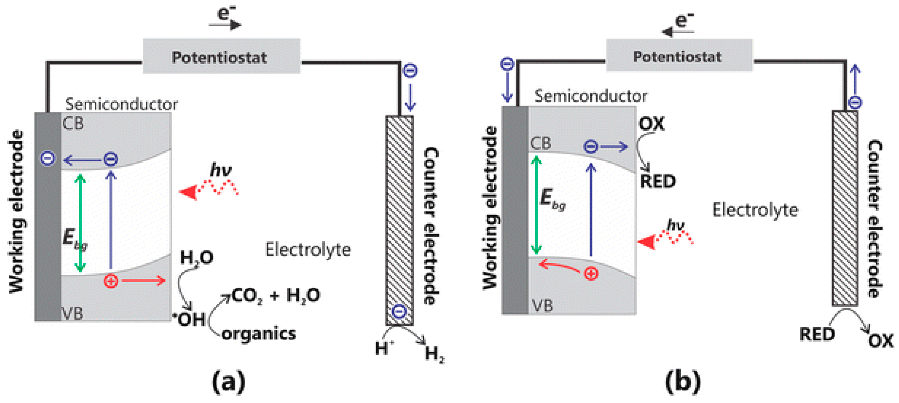 Catalysts 15 00014 g002