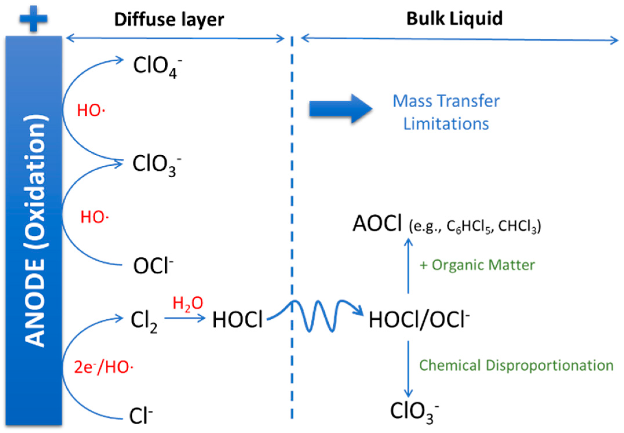 Catalysts 15 00014 g003