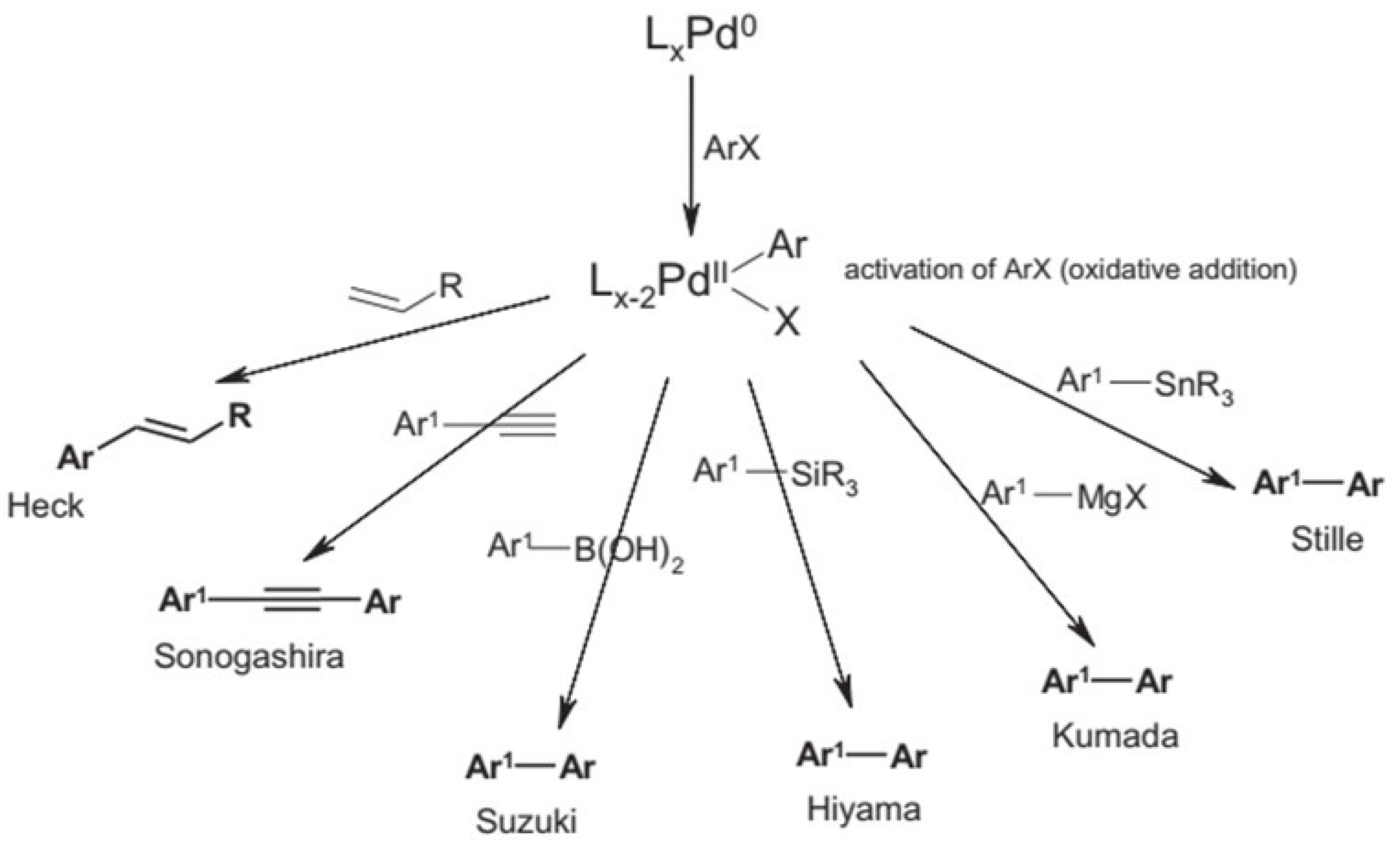 Catalysts 15 00016 g001