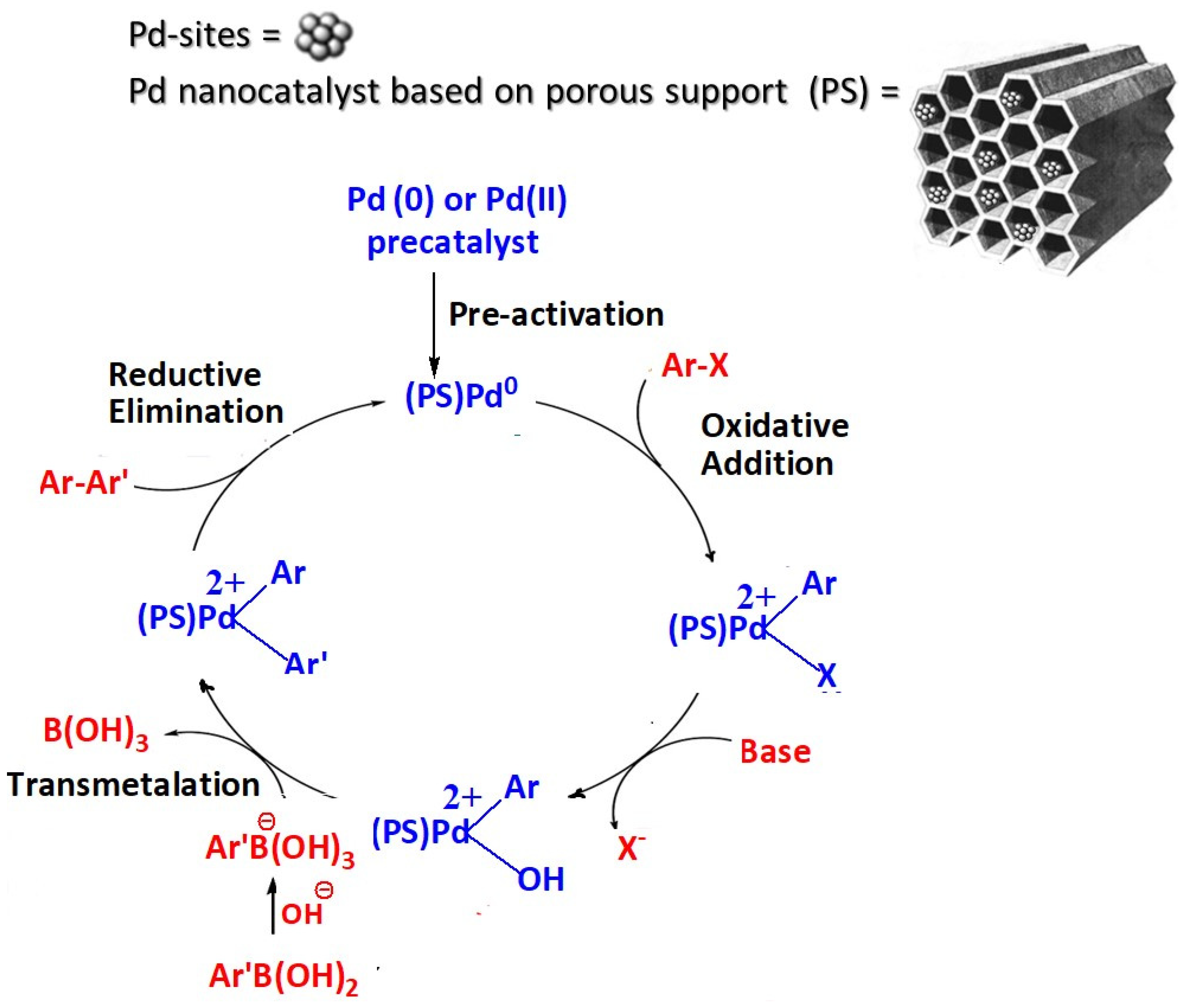 Catalysts 15 00016 g003