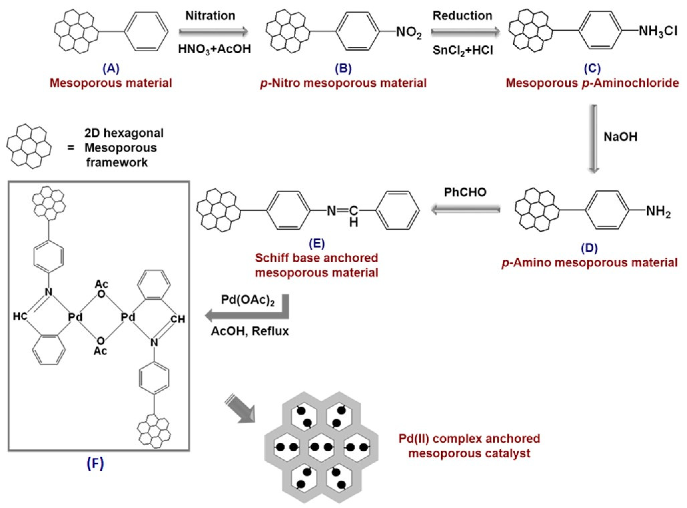 Catalysts 15 00016 g006