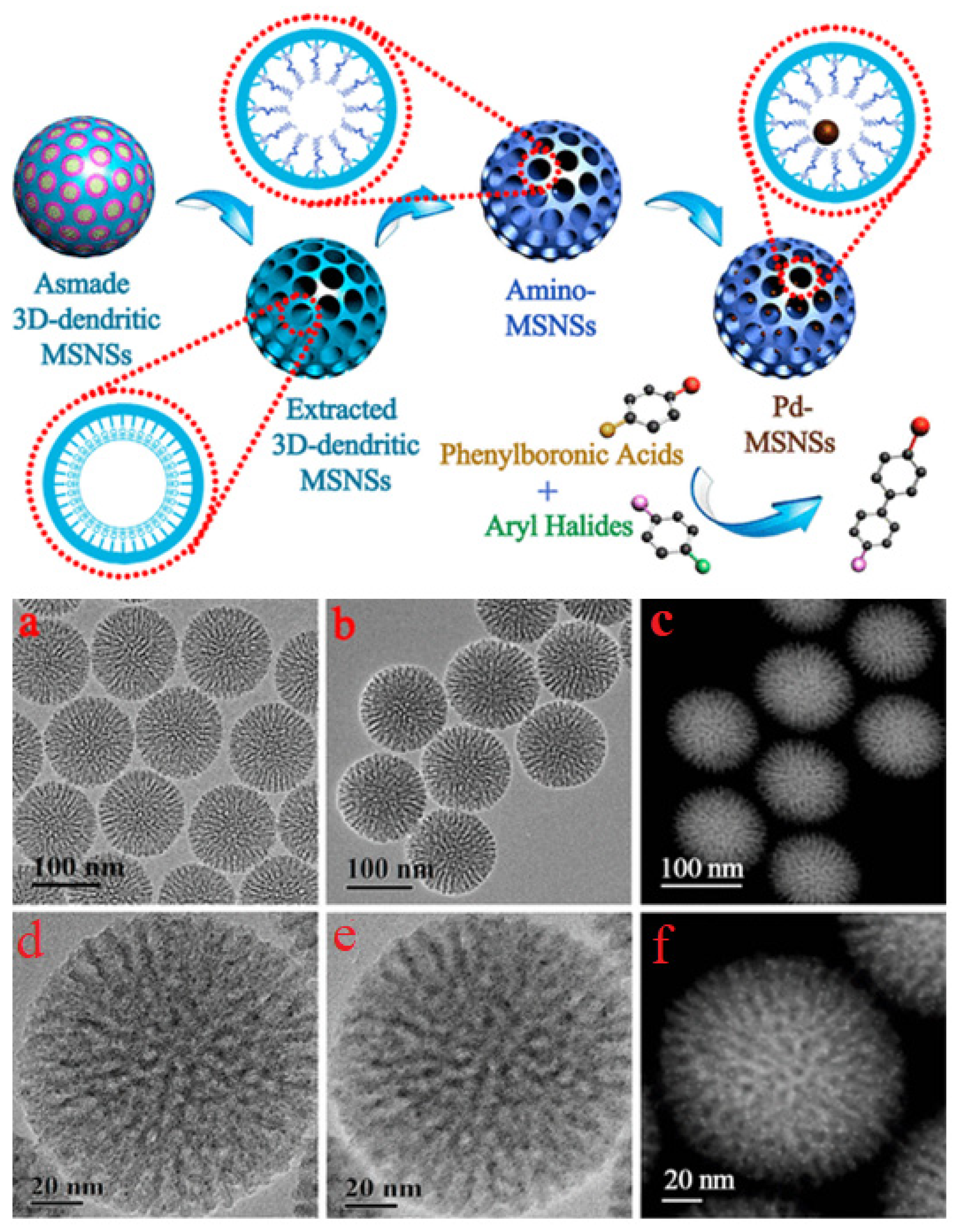 Catalysts 15 00016 g010