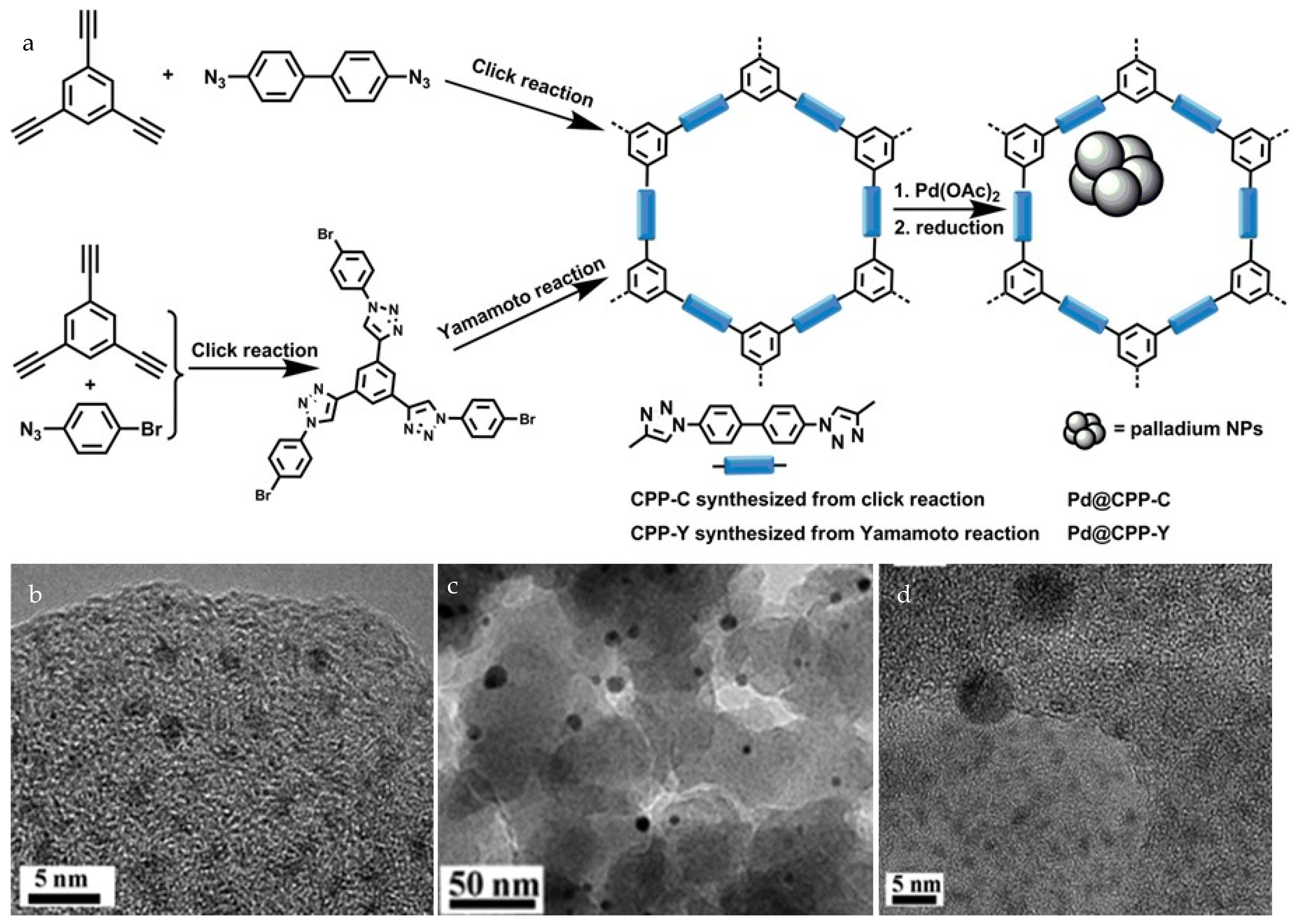 Catalysts 15 00016 g014