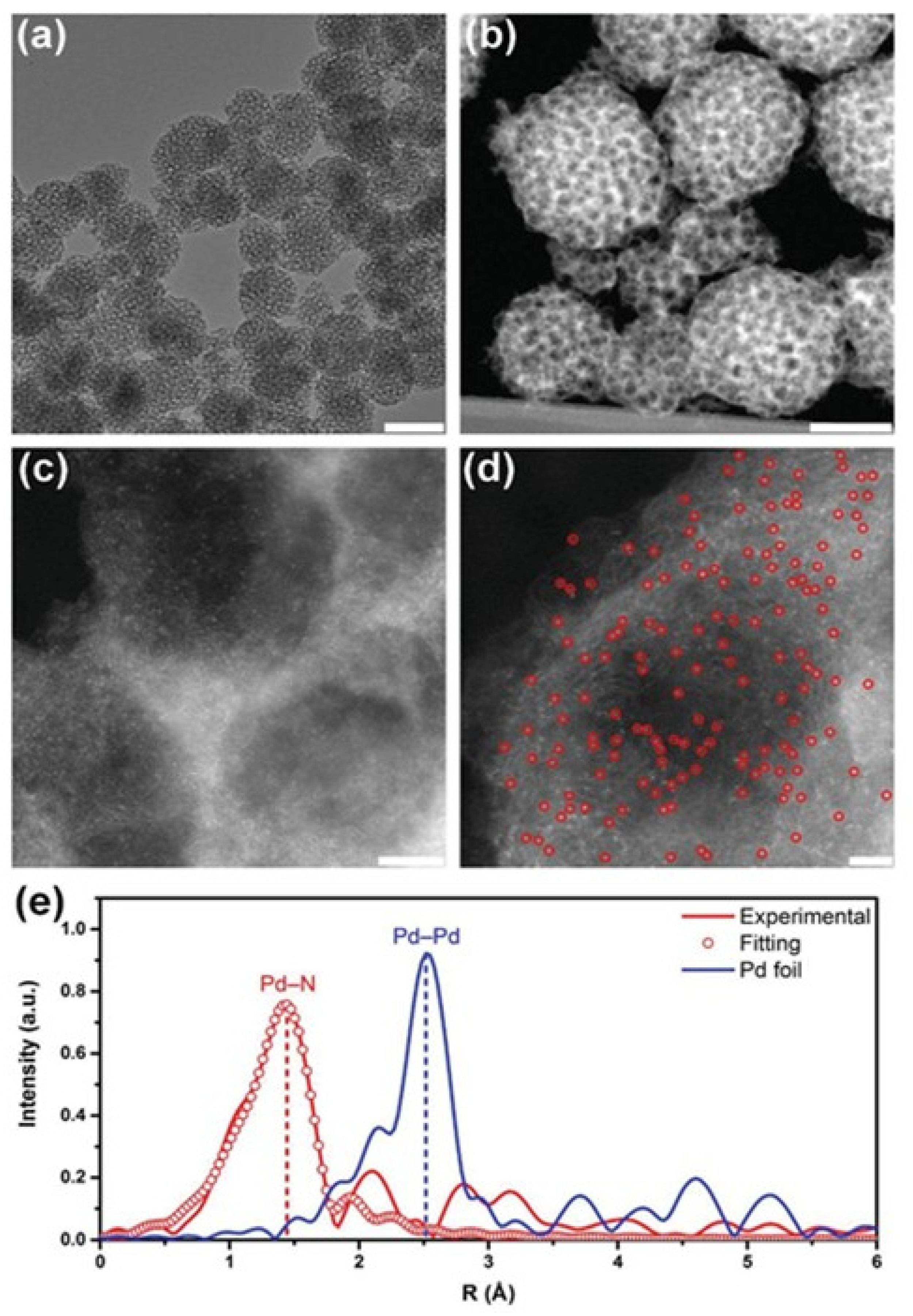 Catalysts 15 00016 g019