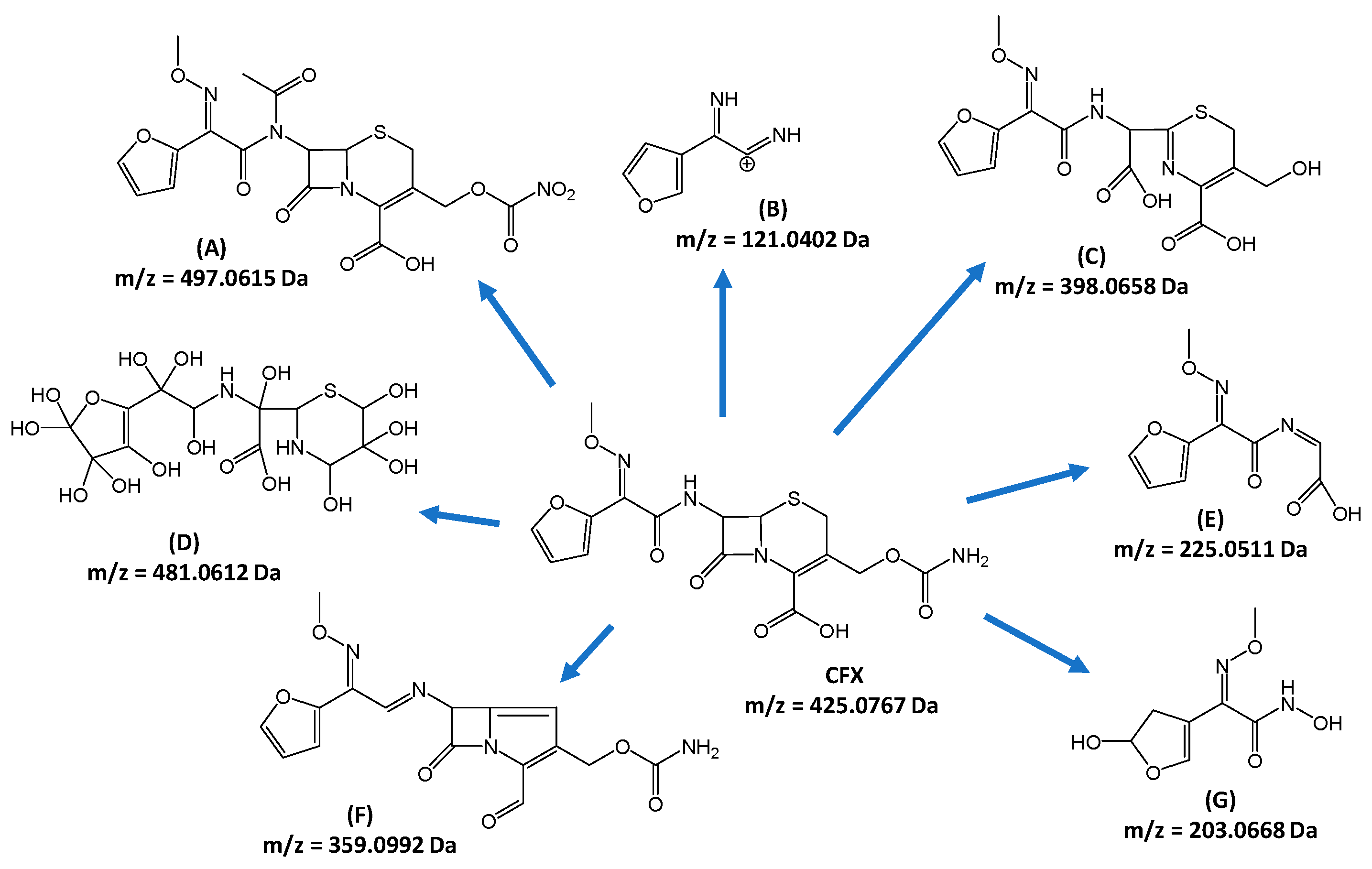 Catalysts 15 00020 g010