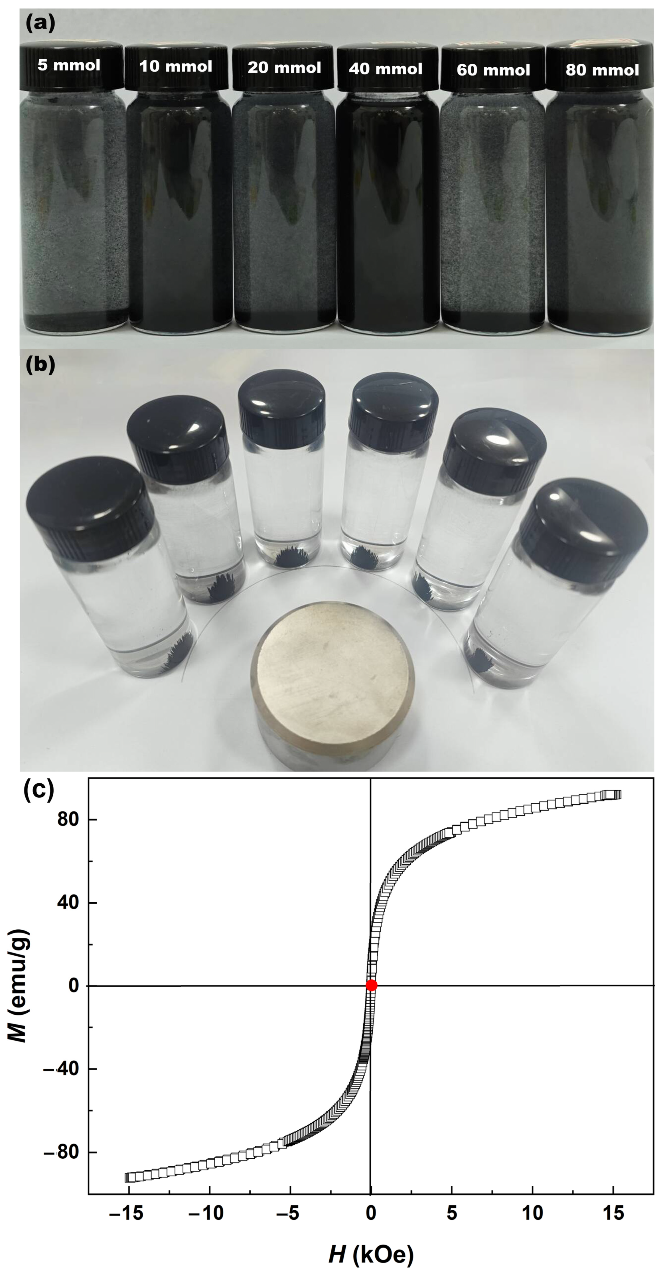 Catalysts 15 00024 g006