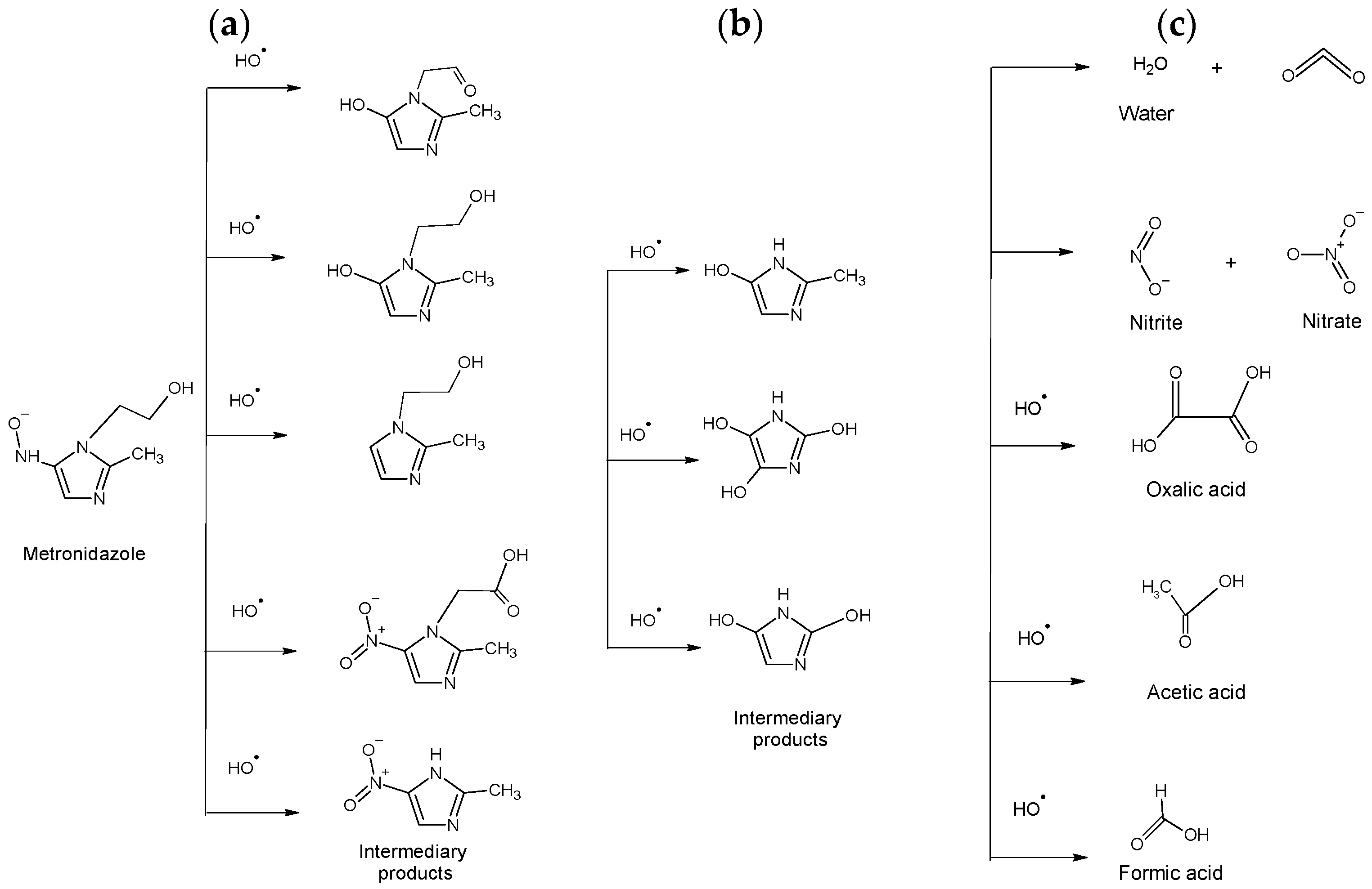 Catalysts 15 00029 g010