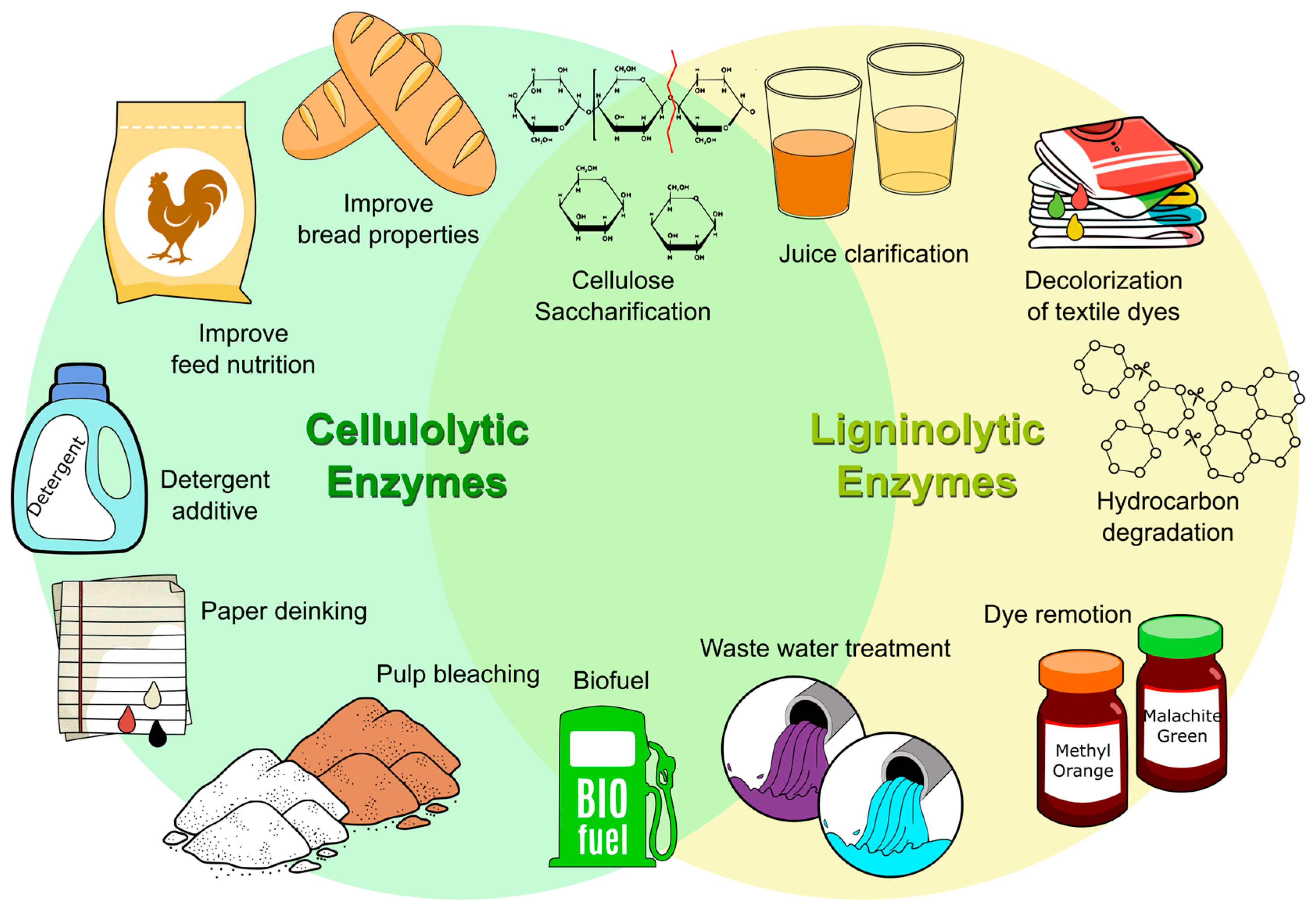 Catalysts 15 00030 g003