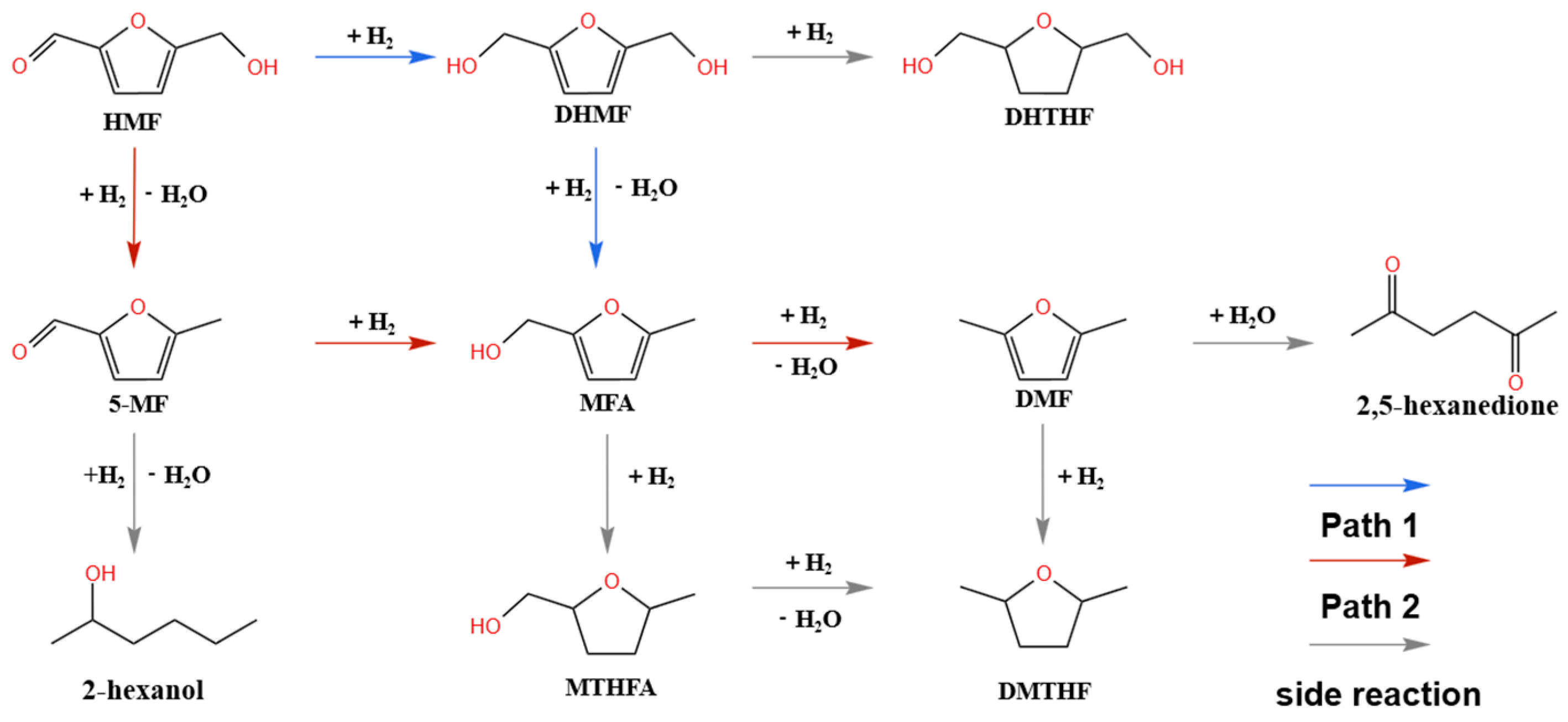 Catalysts 15 00031 g002