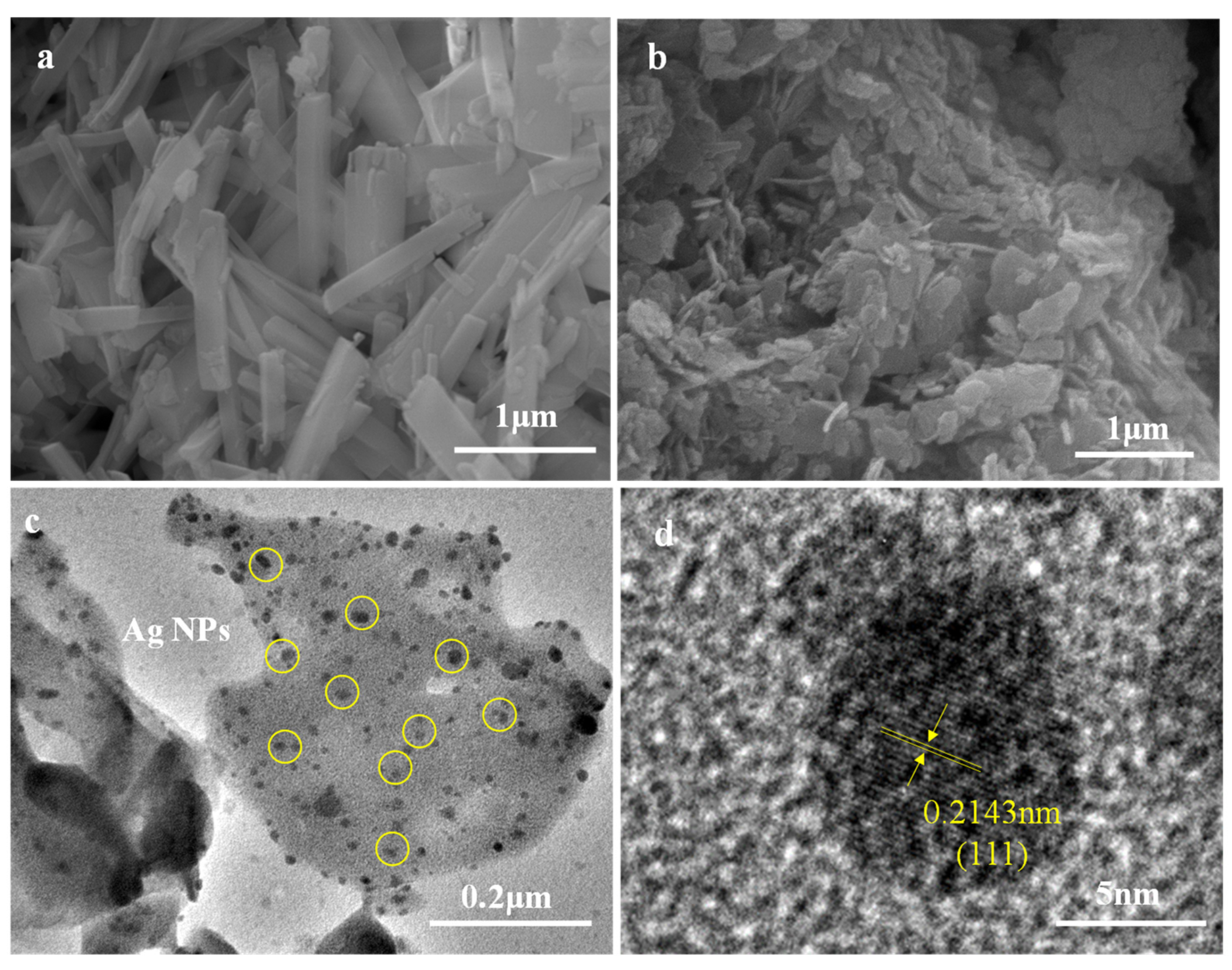 Catalysts 15 00032 g001