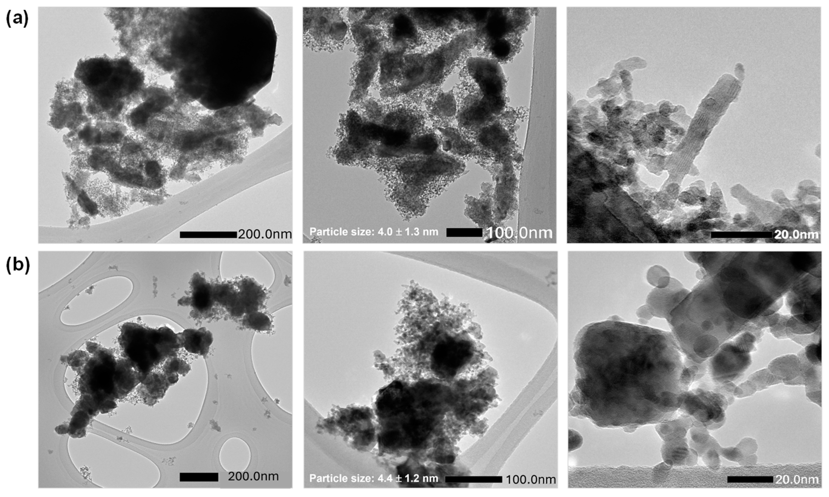 Catalysts 15 00035 g003