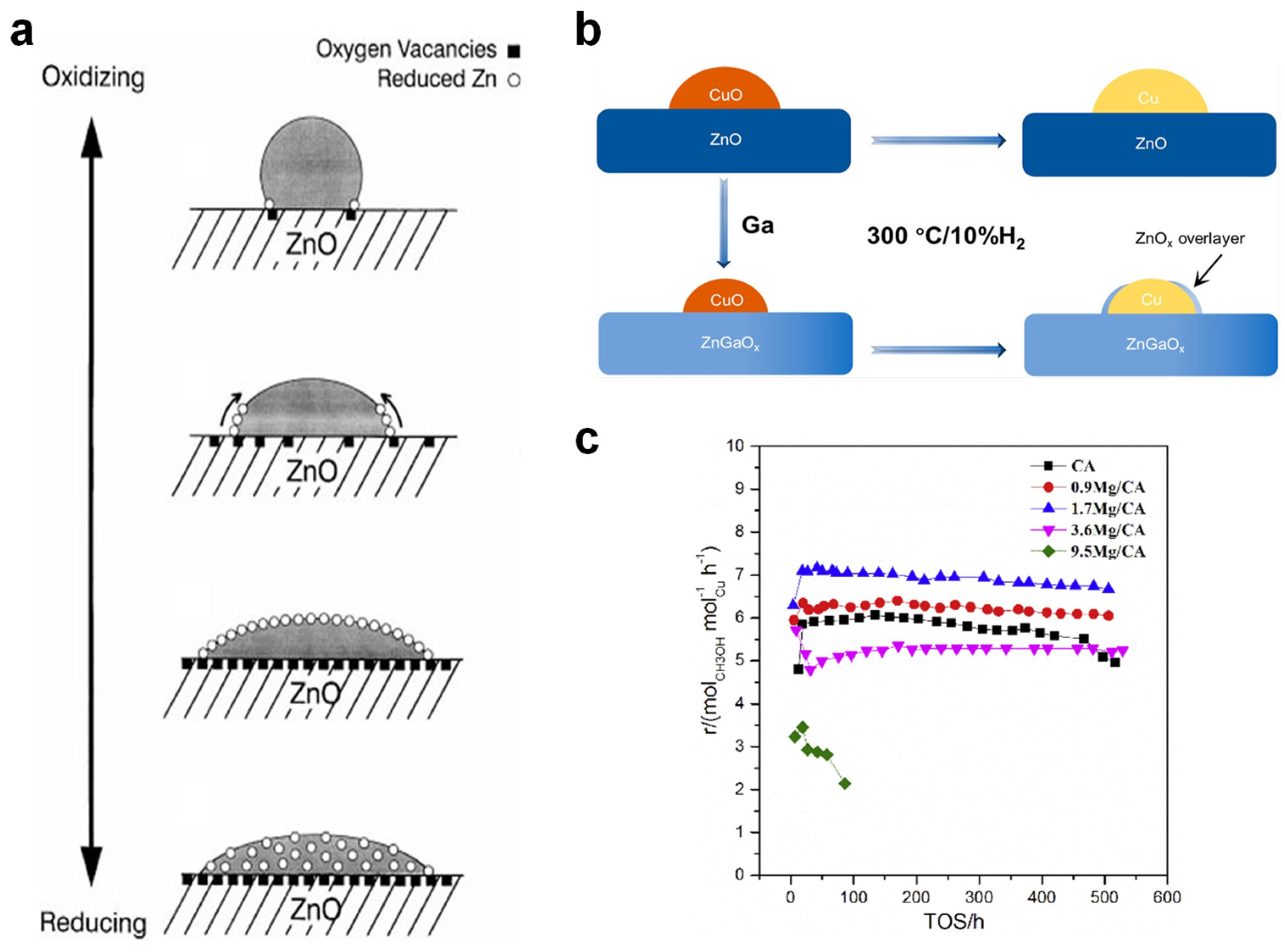 Catalysts 15 00036 g003