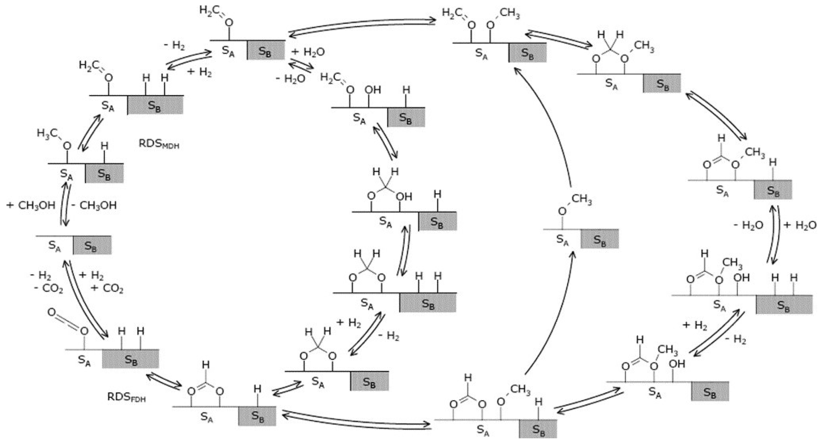 Catalysts 15 00036 g005