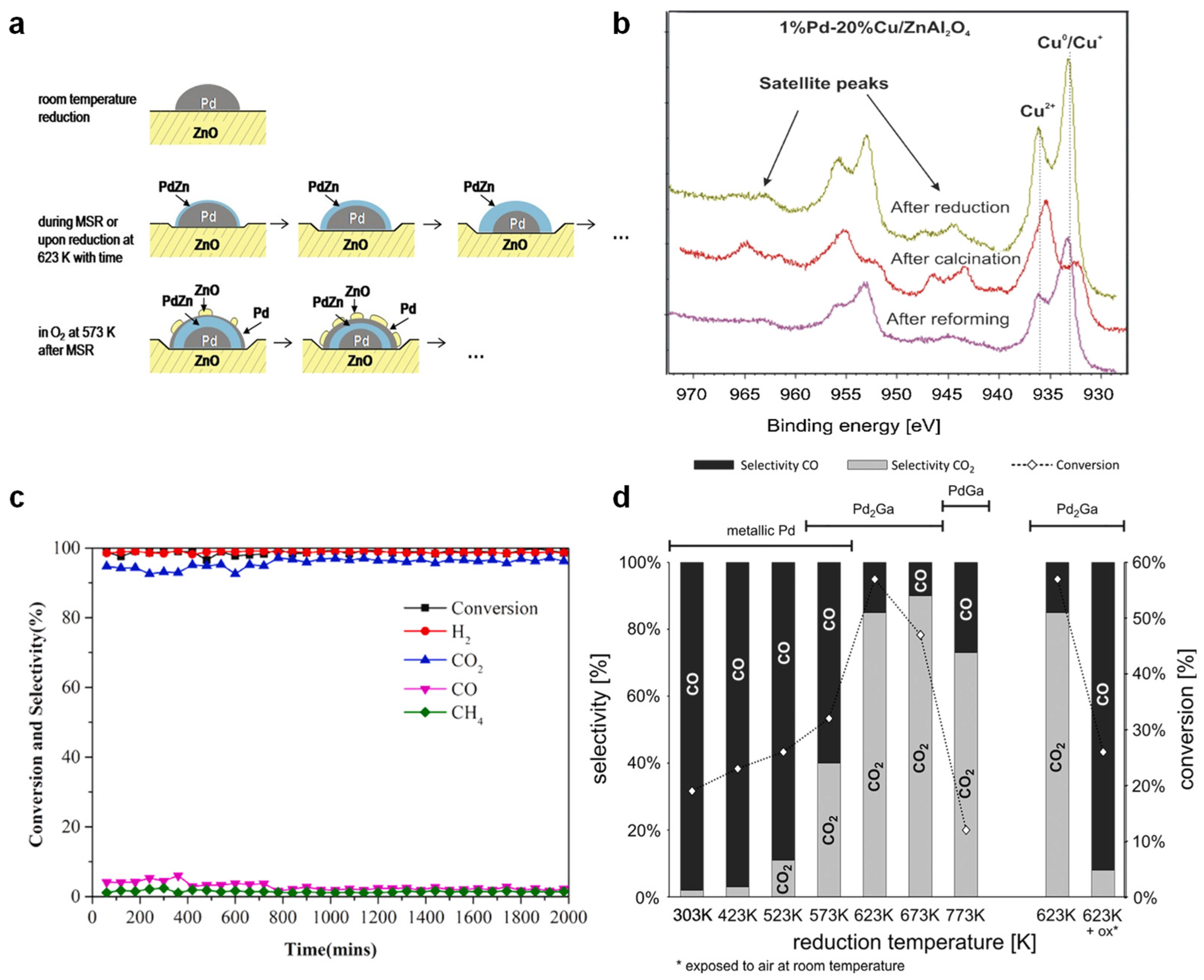 Catalysts 15 00036 g007