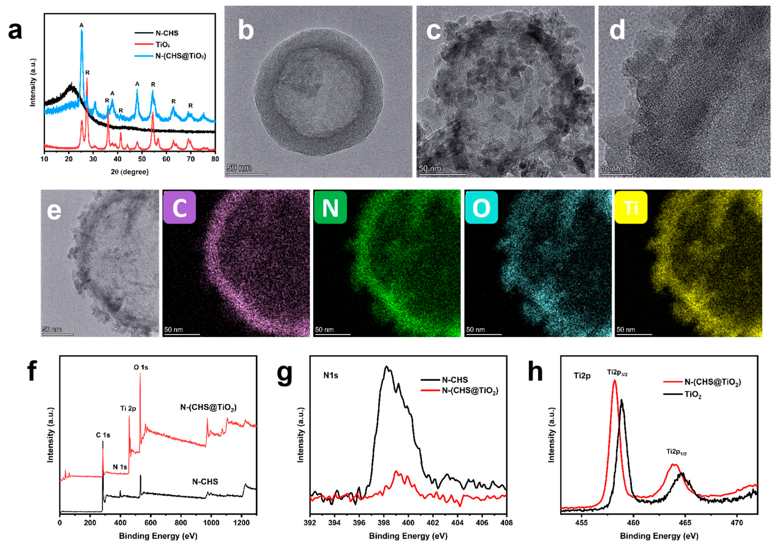 Catalysts 15 00039 g001