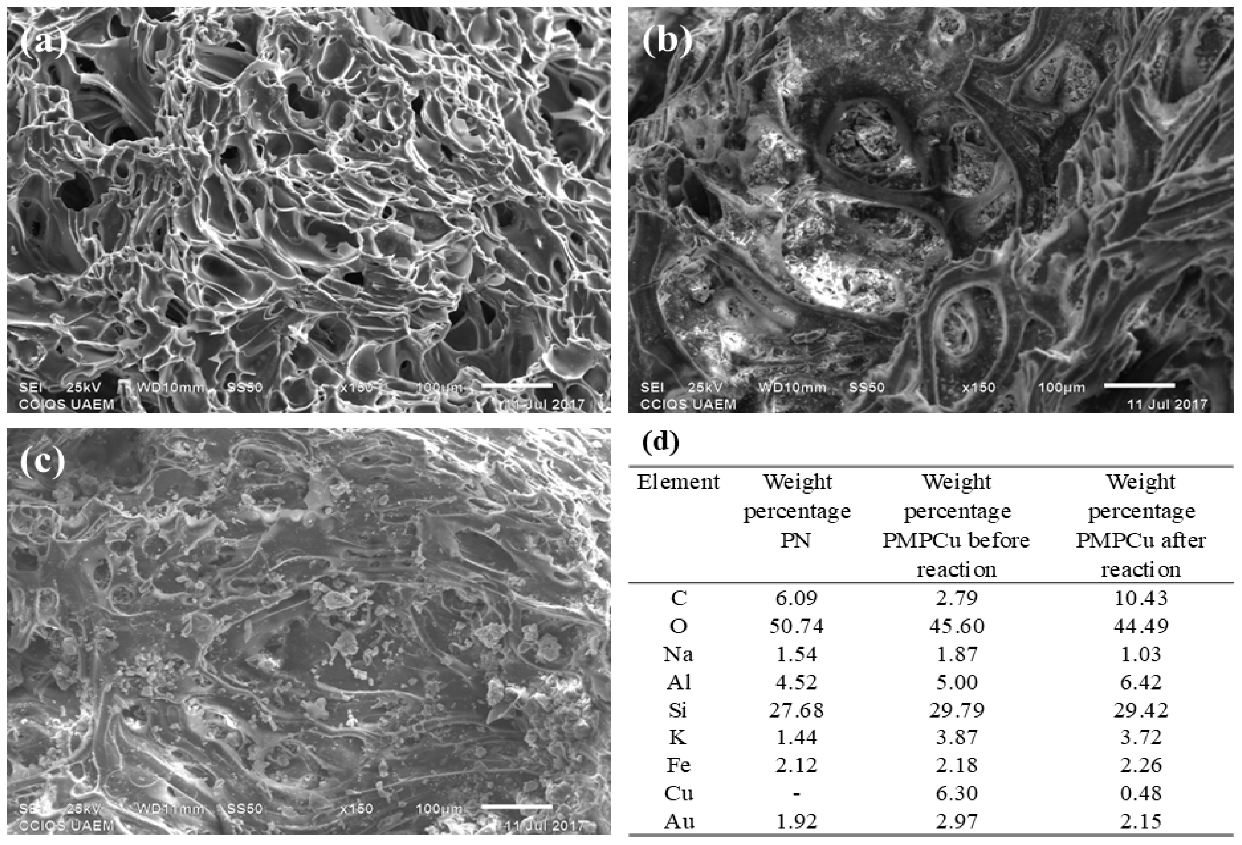 Catalysts 15 00043 g011