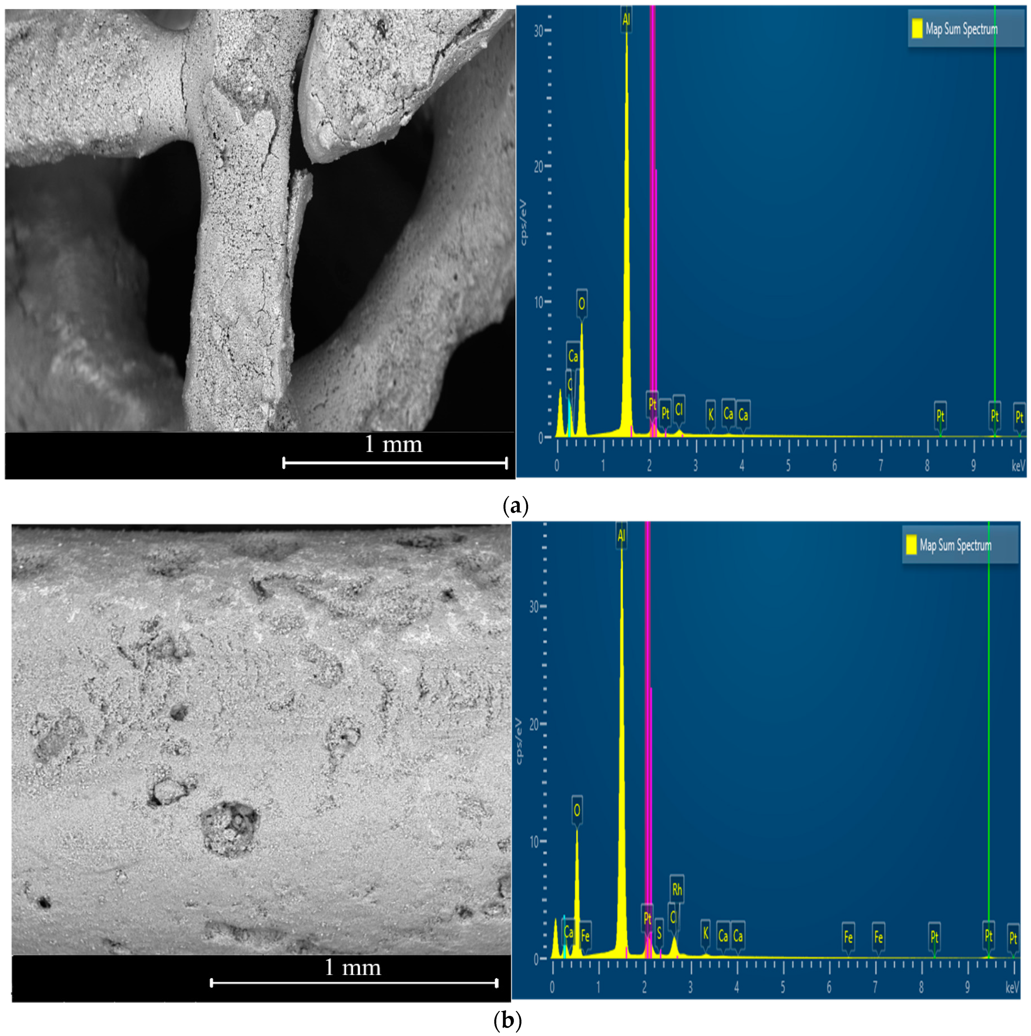 Catalysts 15 00044 g001