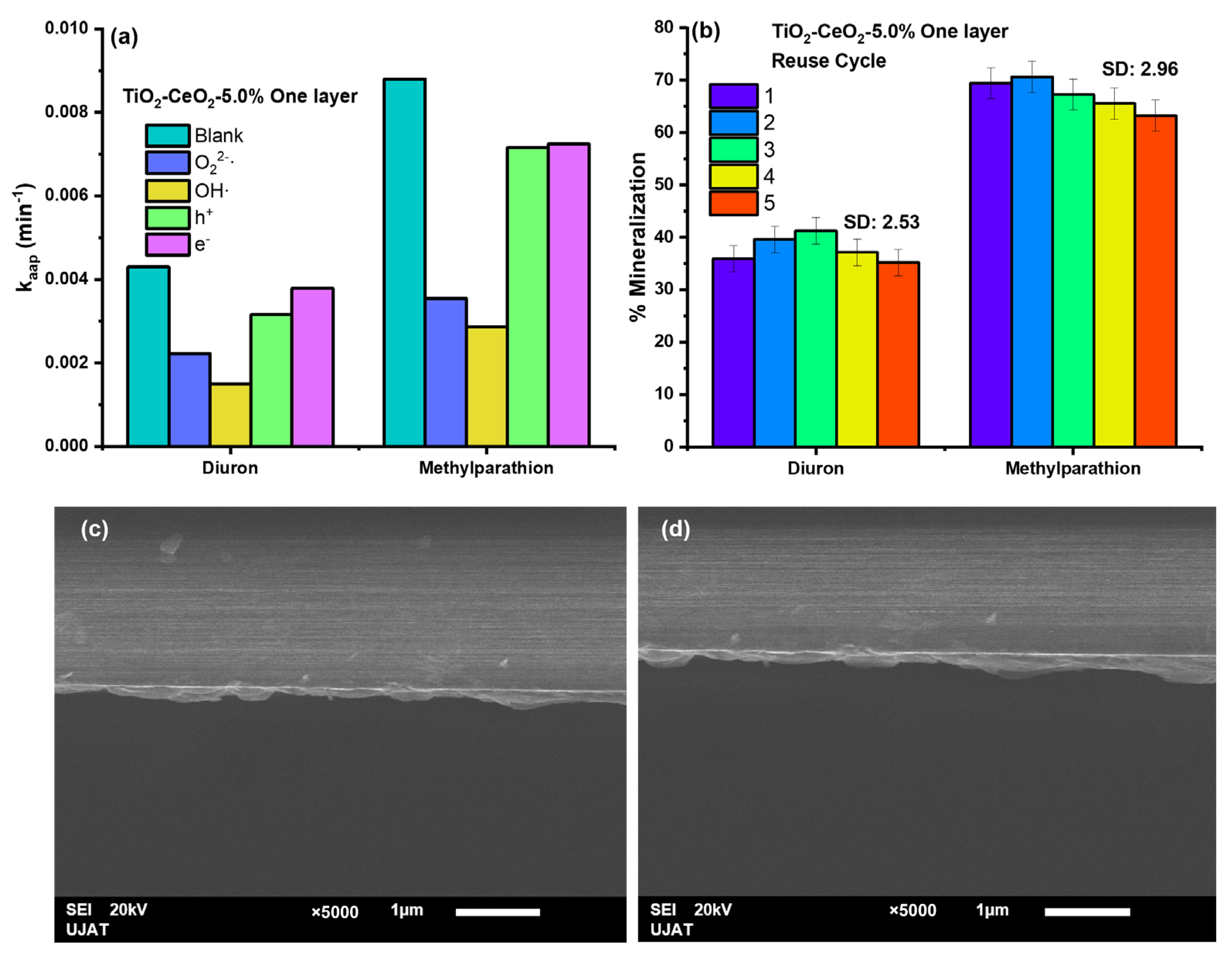 Catalysts 15 00046 g007