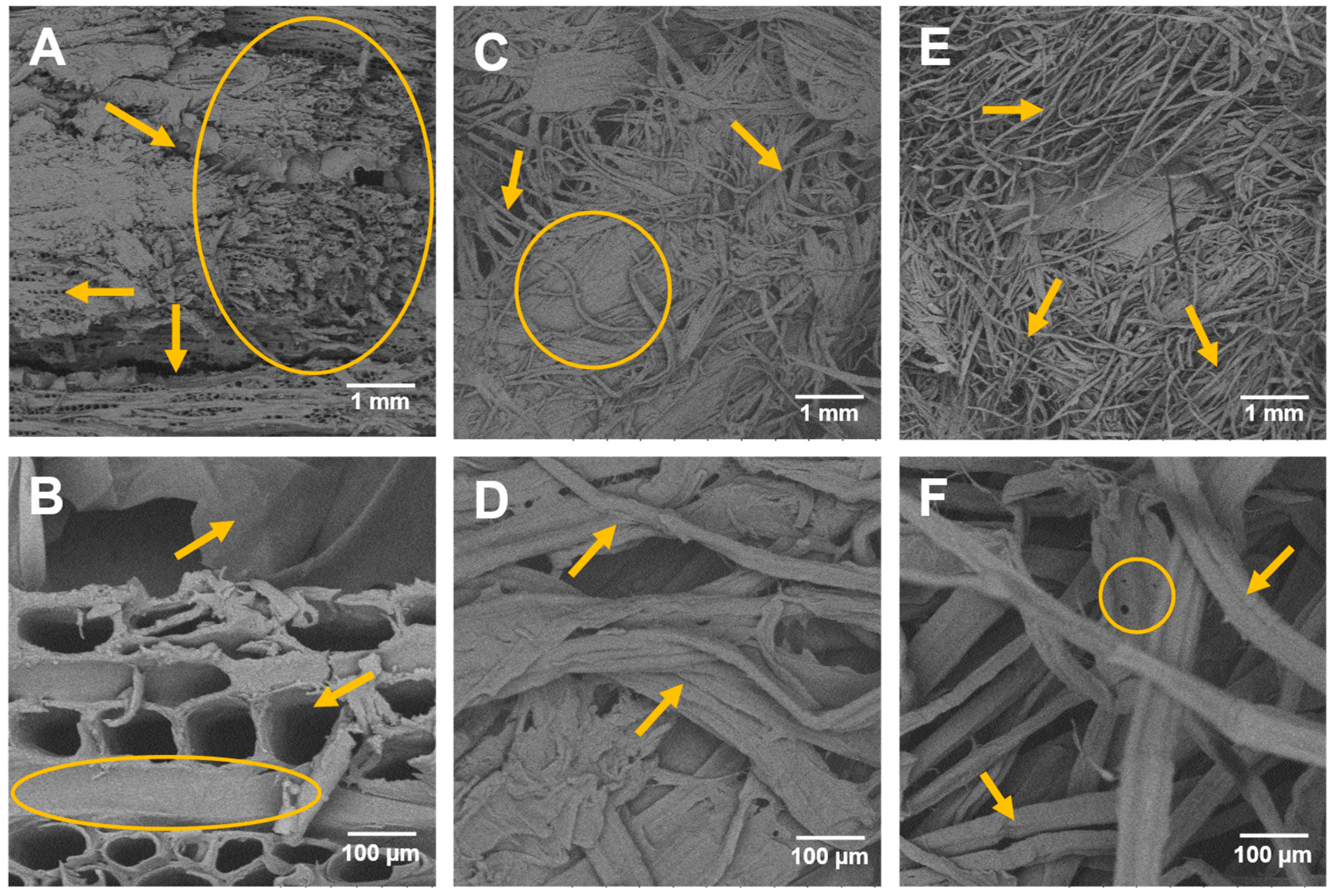 Catalysts 15 00047 g001