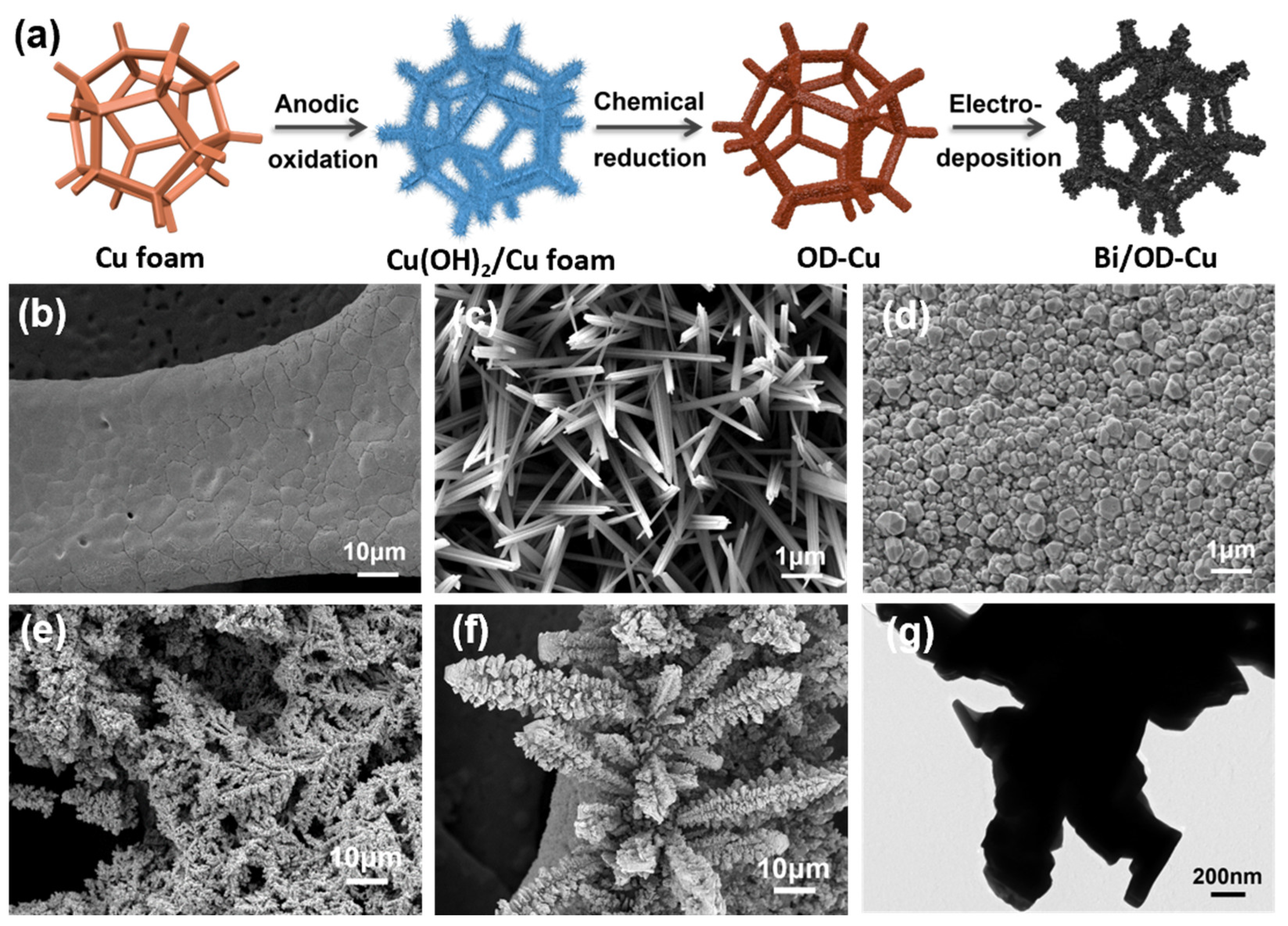 Catalysts 15 00052 g001