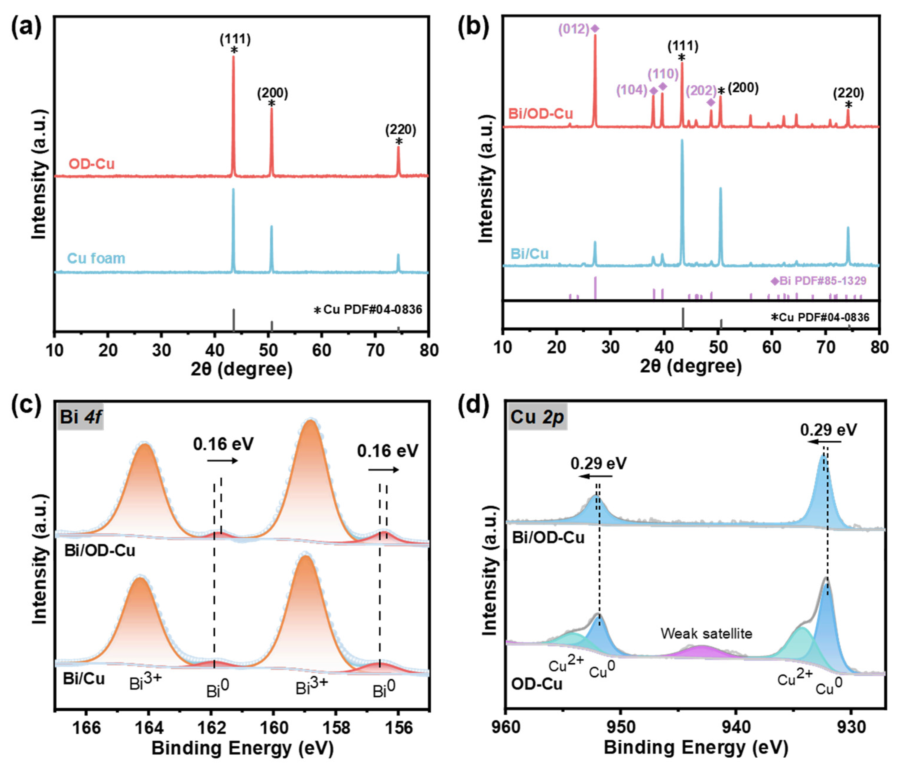 Catalysts 15 00052 g002