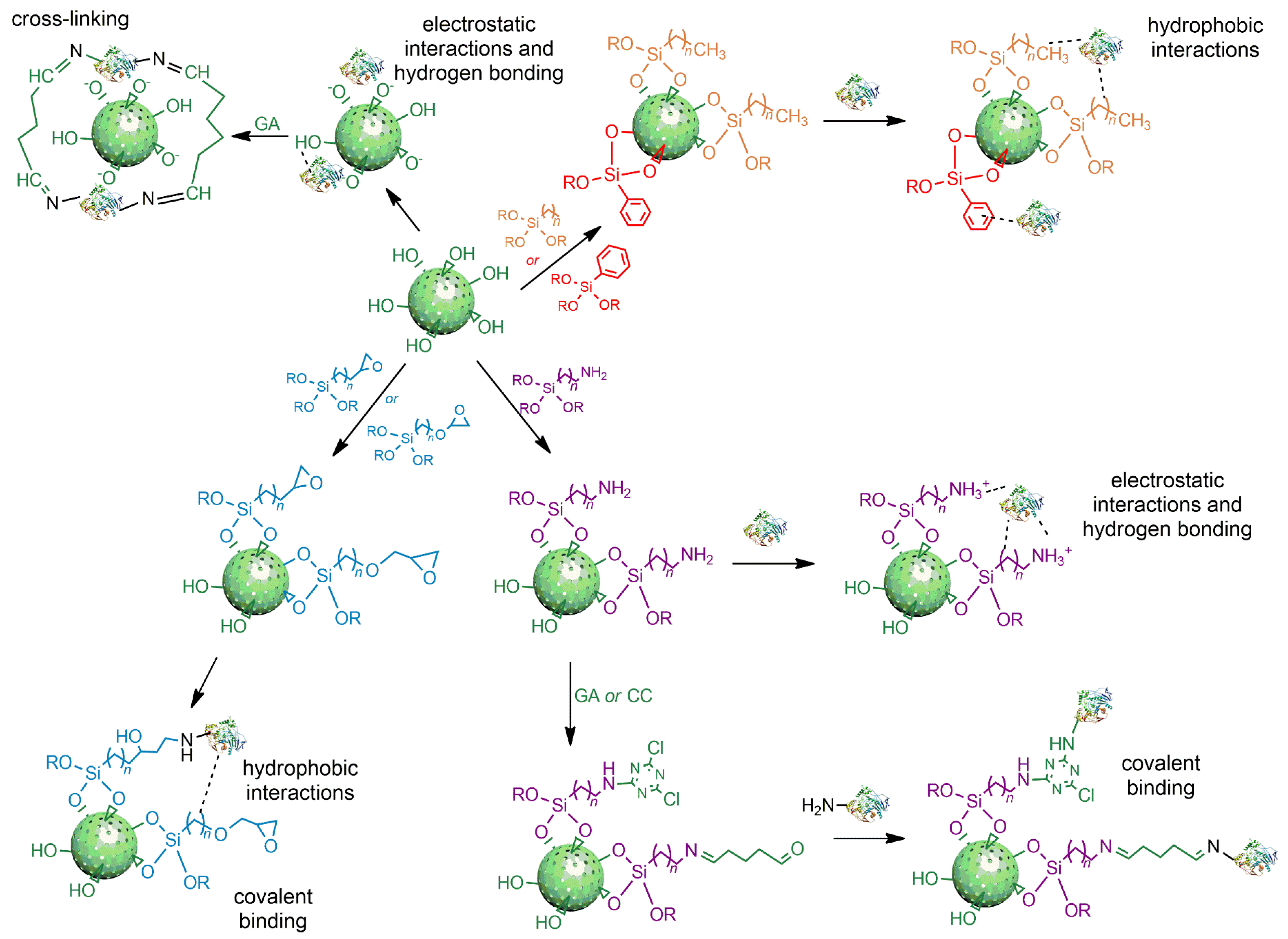 Catalysts 15 00054 g003