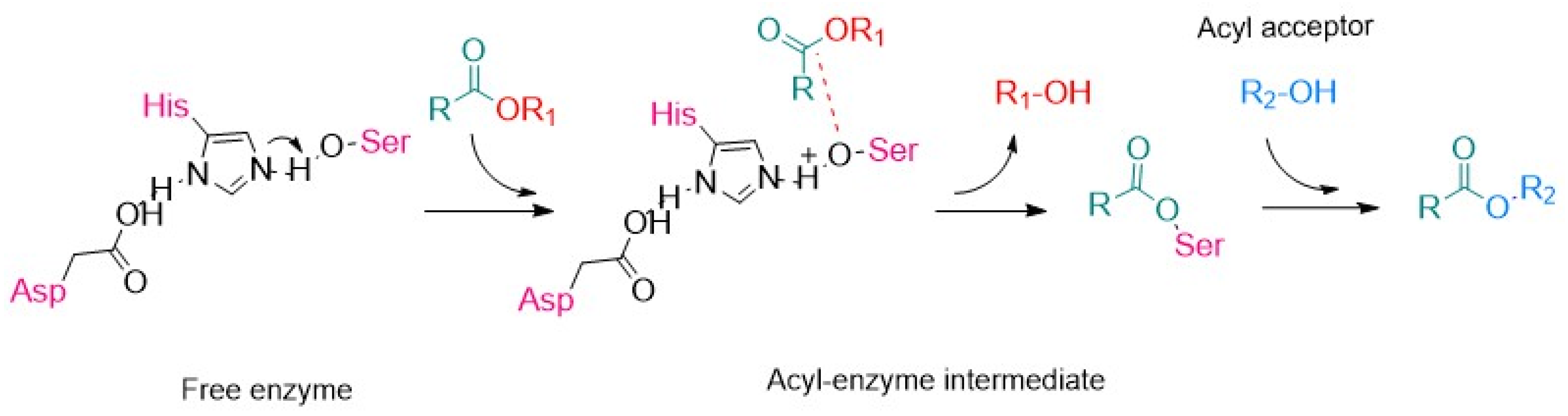 Catalysts 15 00054 g004