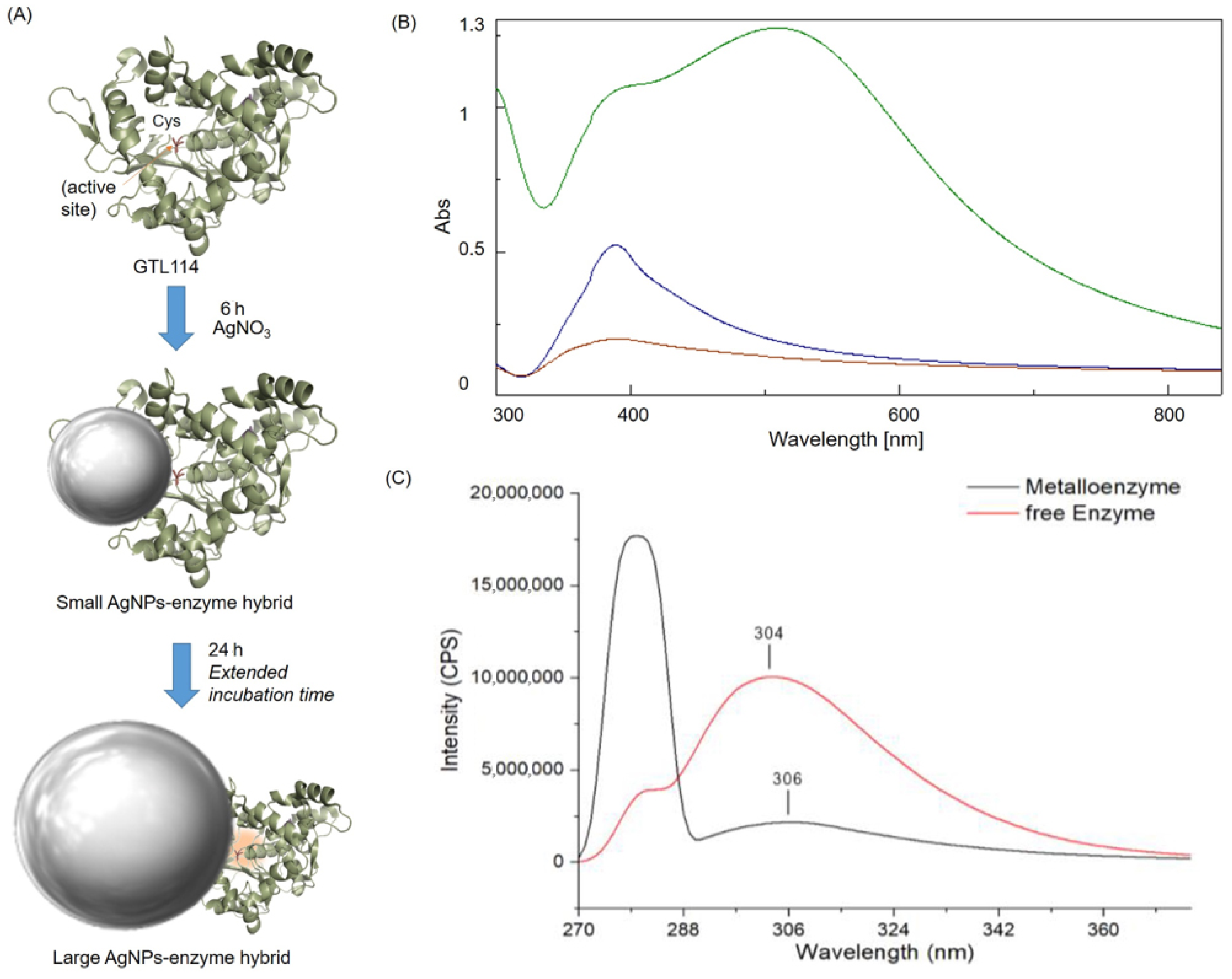 Catalysts 15 00061 g002