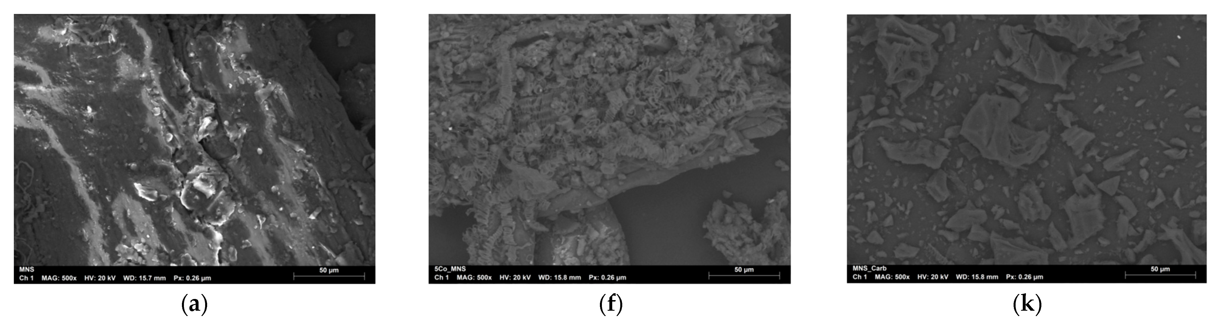 Catalysts 15 00062 g002a