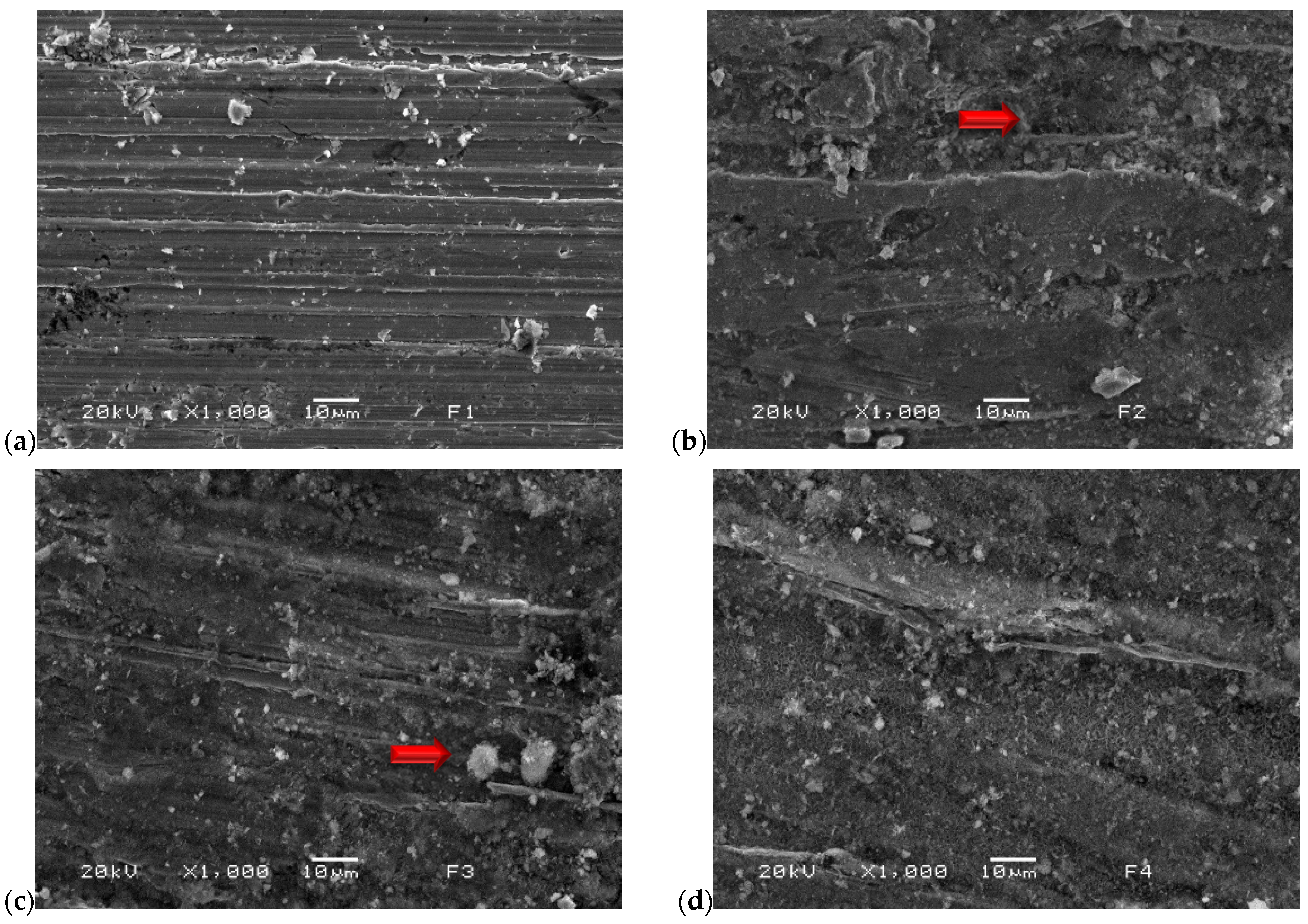Catalysts 15 00063 g007a