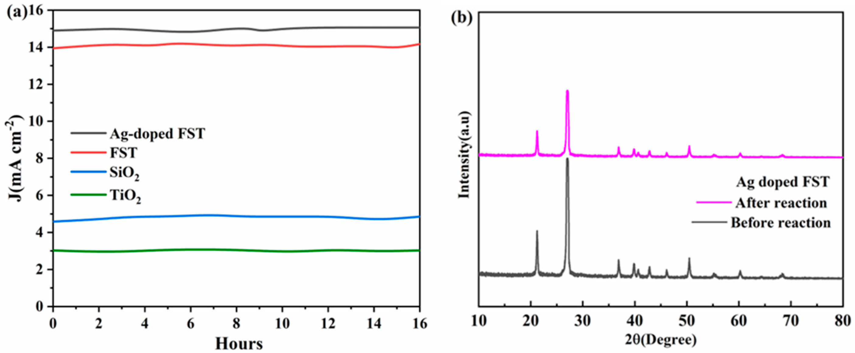 Catalysts 15 00066 g010