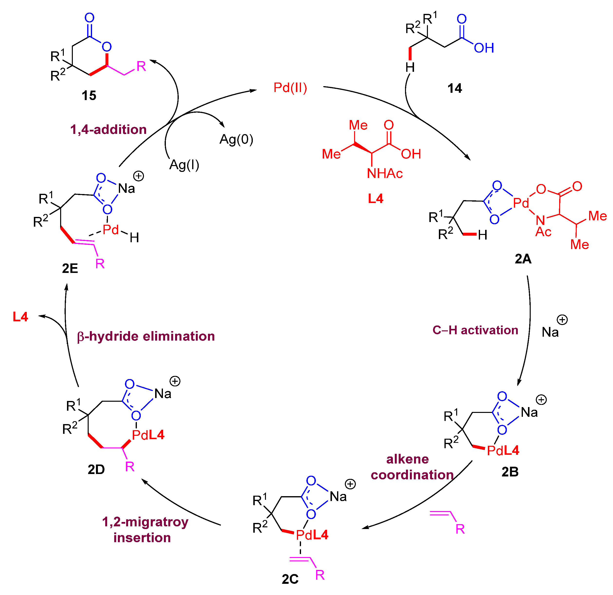 Catalysts 15 00072 sch006