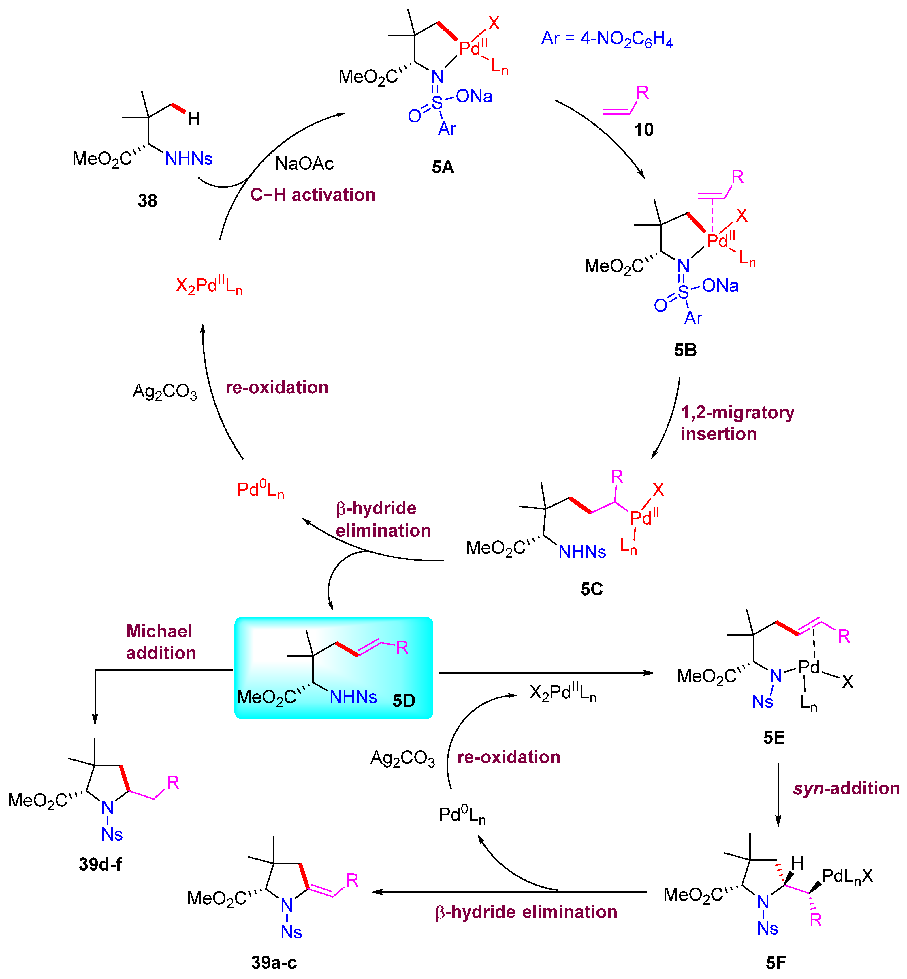 Catalysts 15 00072 sch014